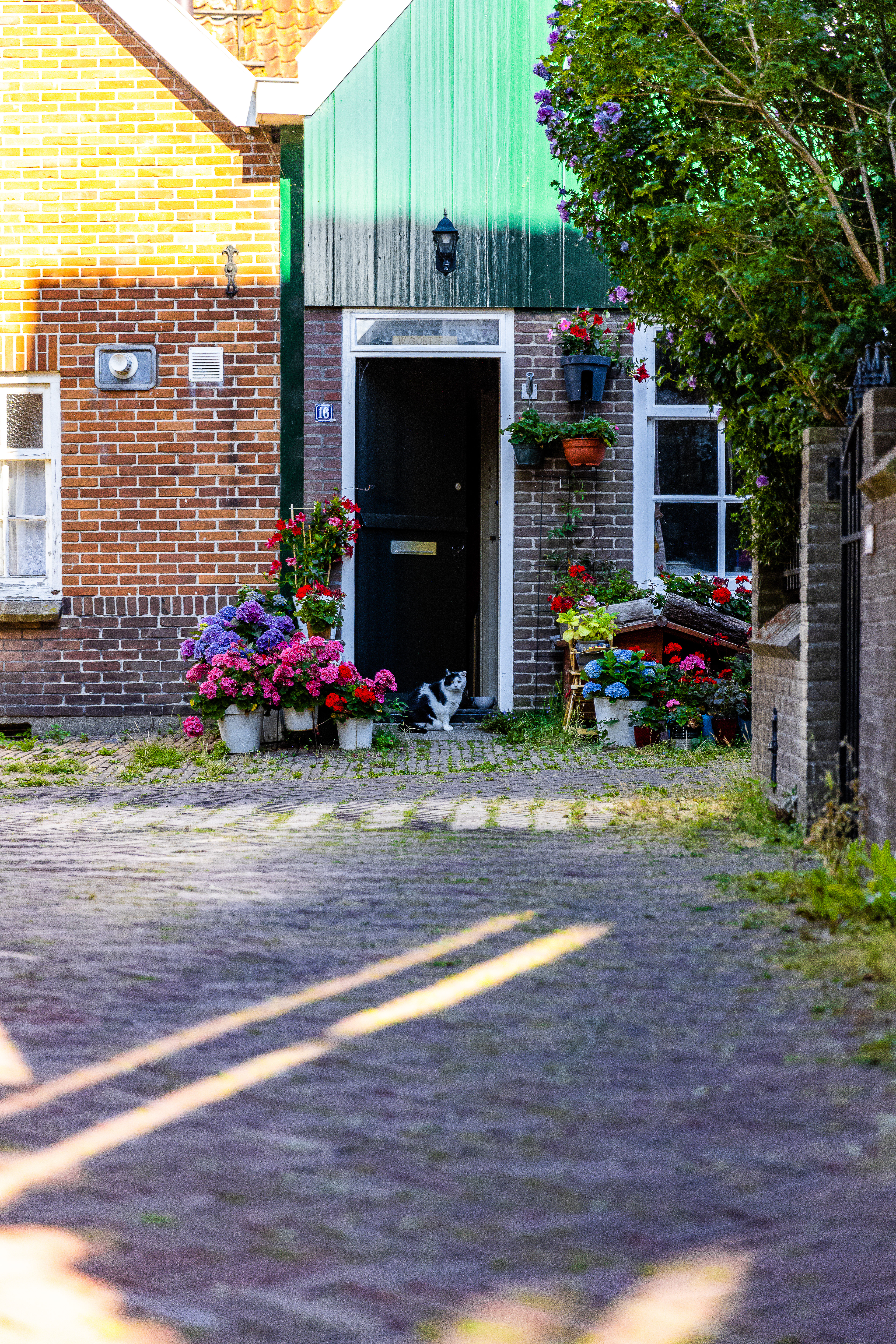 Marken