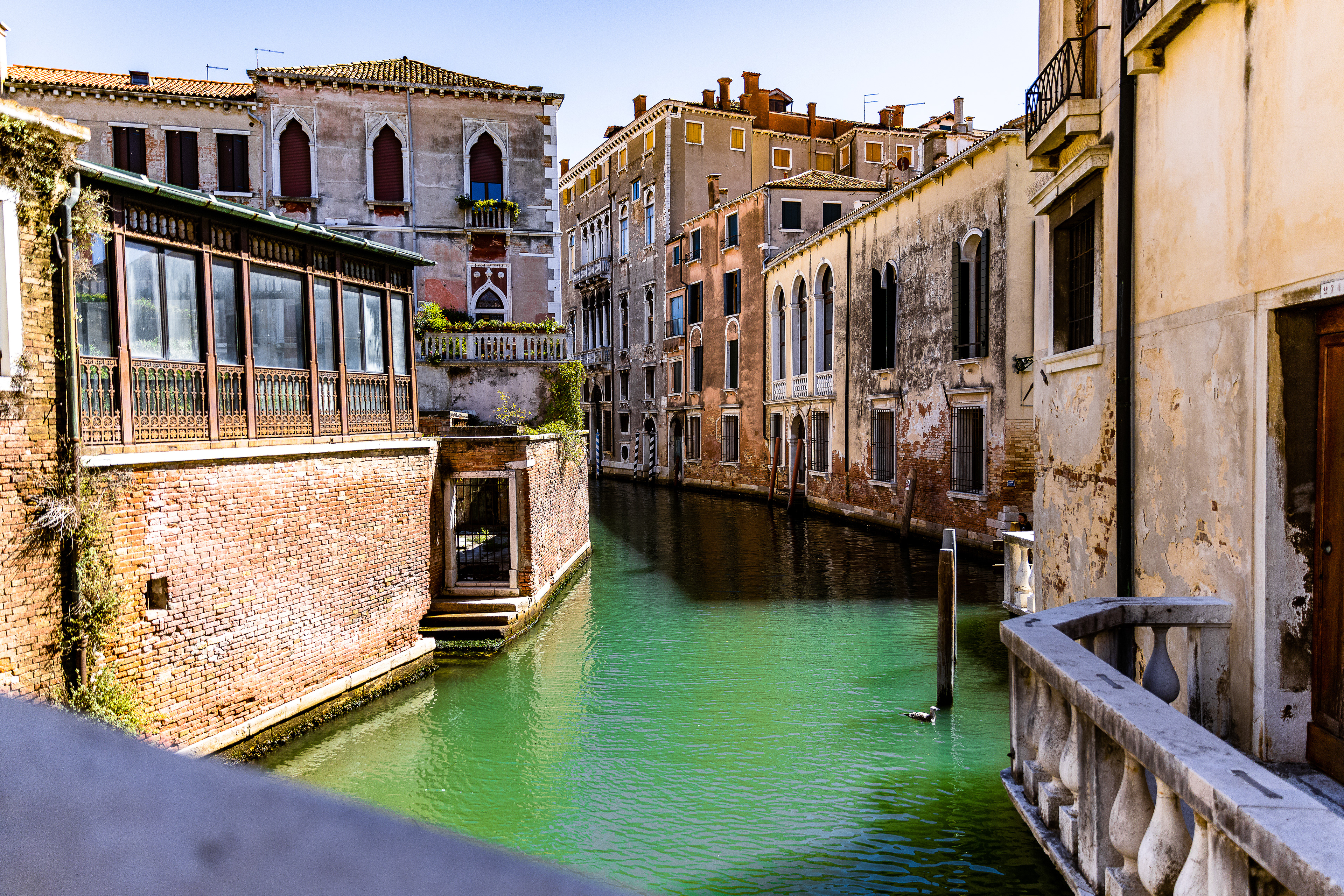 Venezia