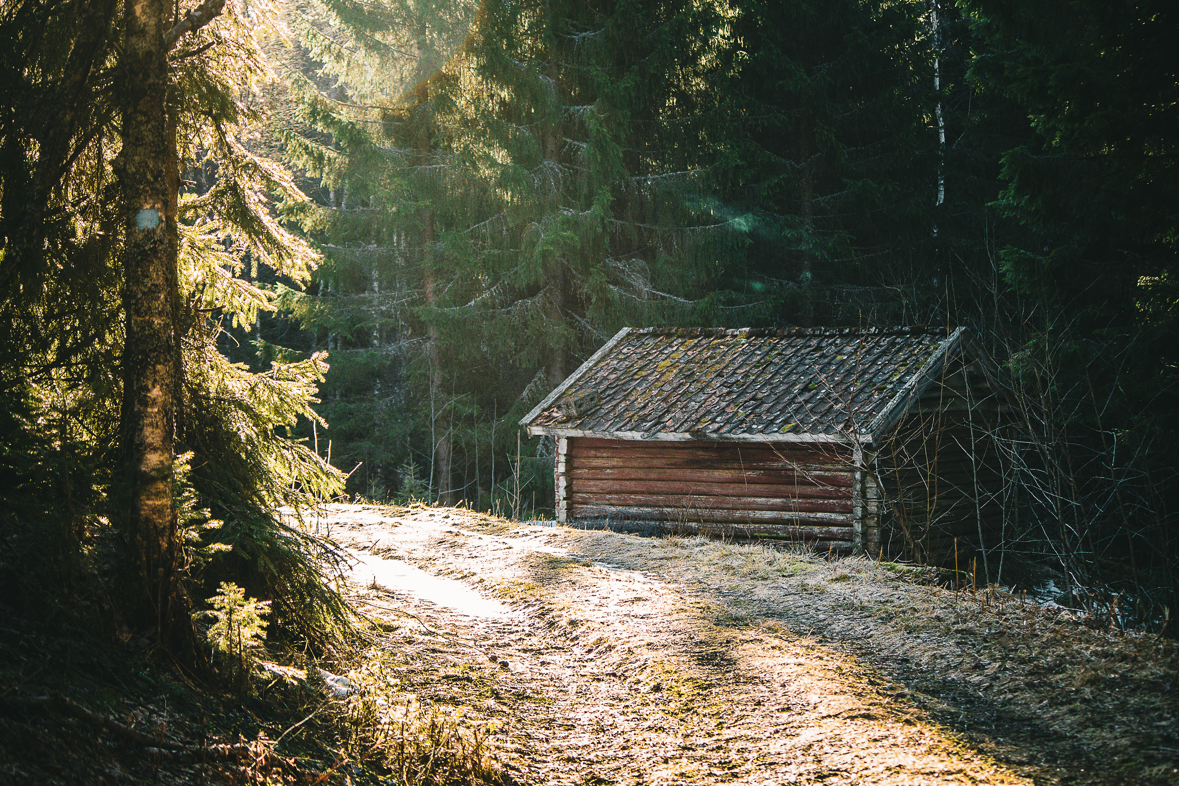 Abandoned cottage at Blåfjellhuken, Siljan, Norway