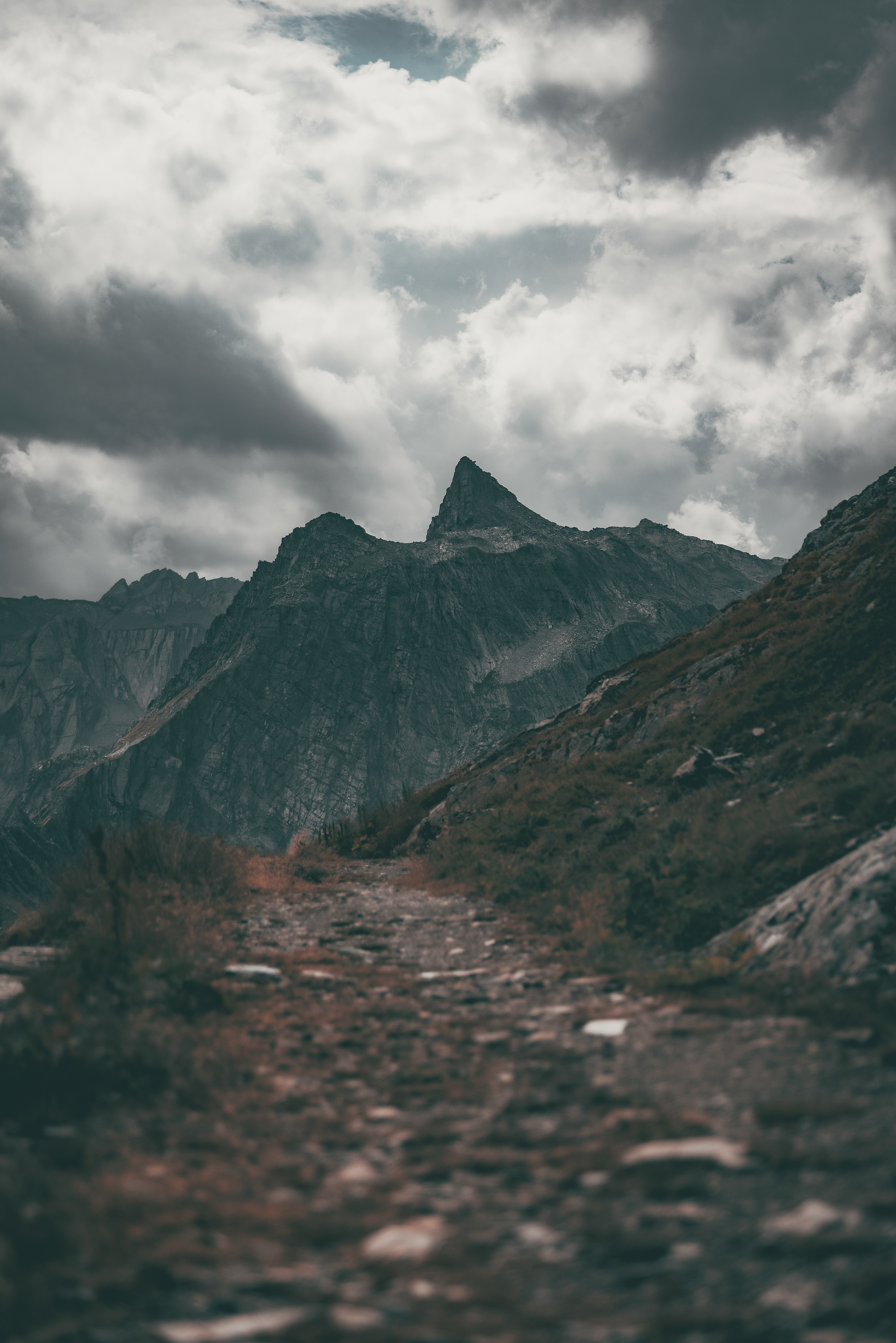 Alps