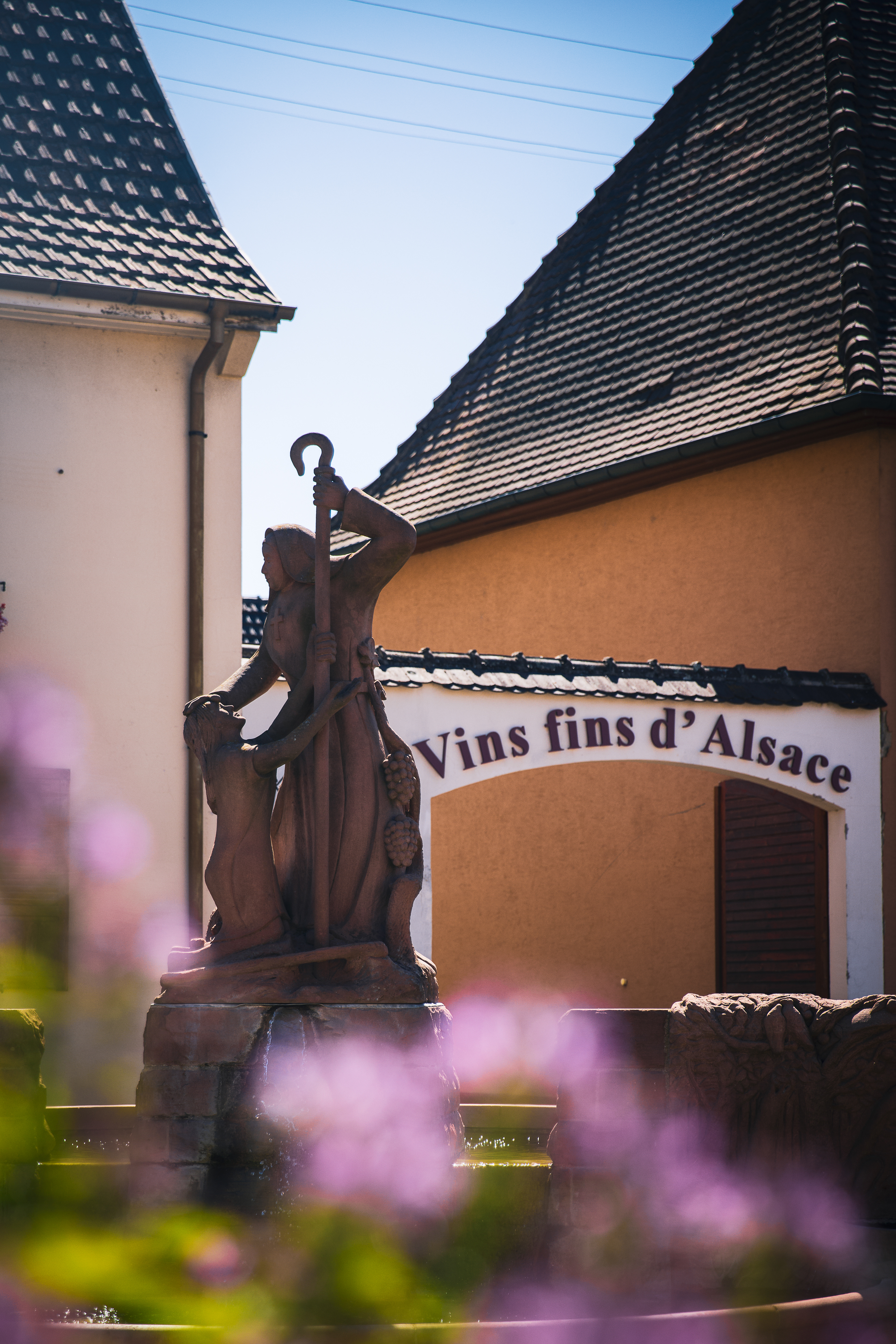 Local winery in Alsace