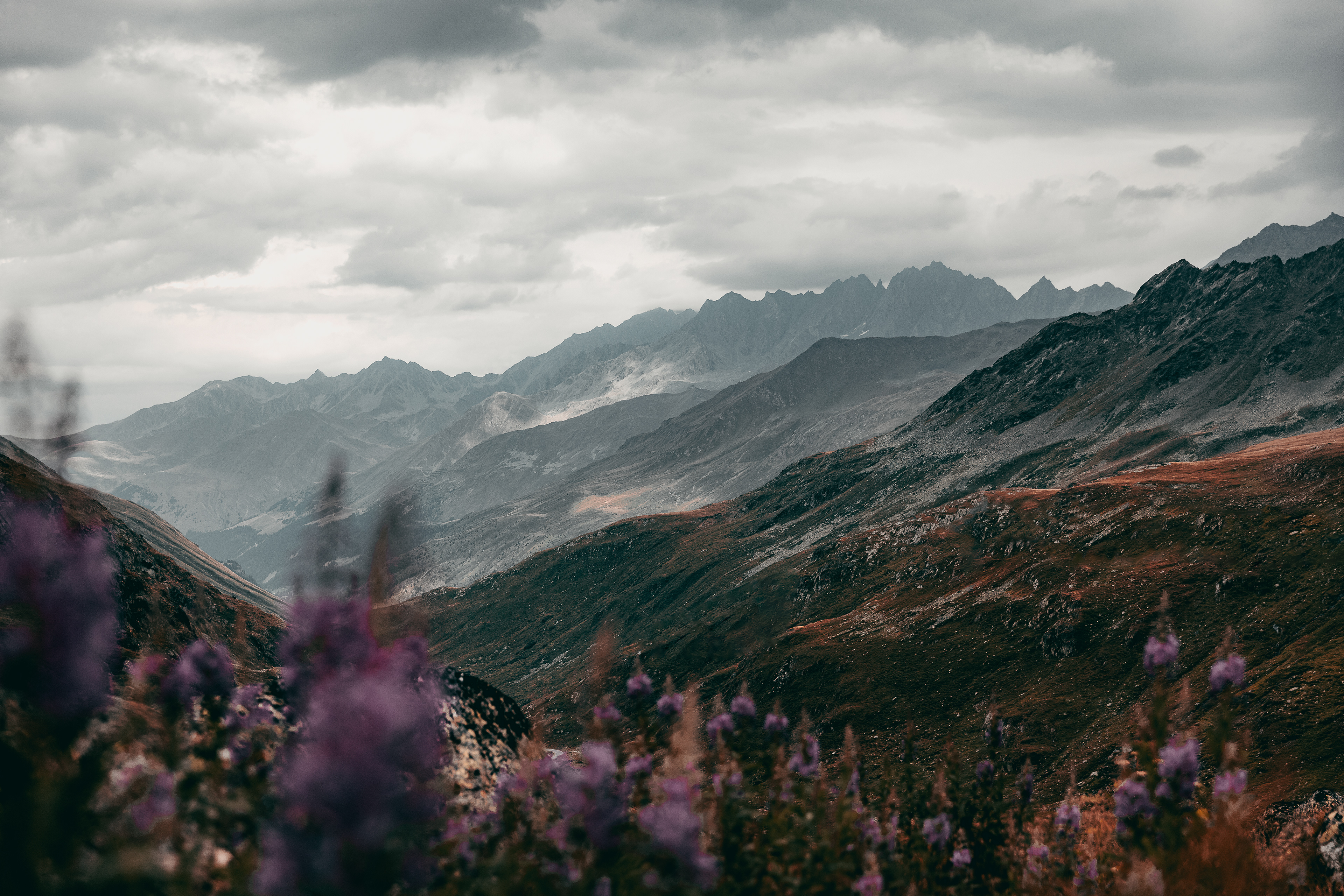 Alps
