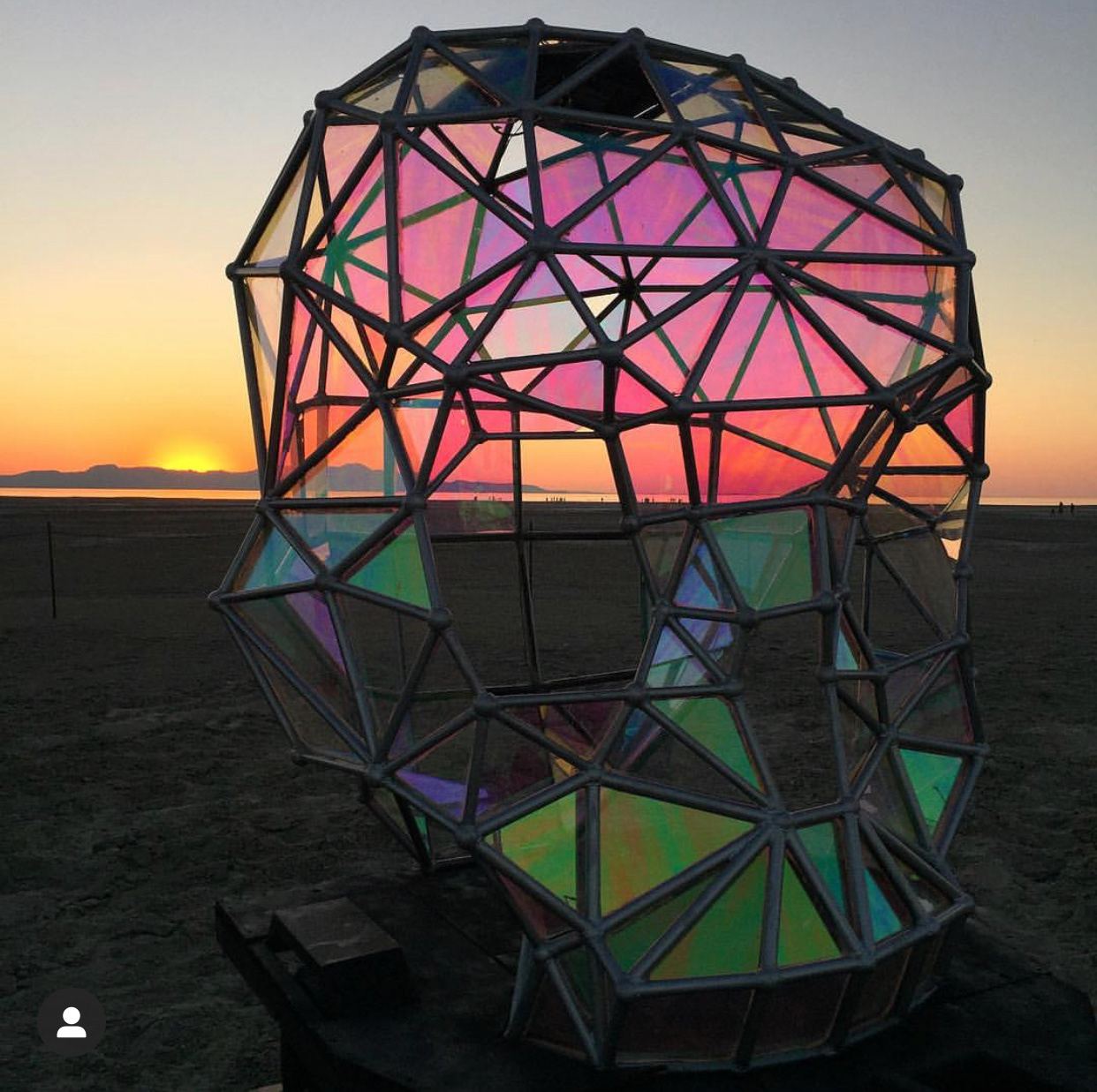 The Dichroic Skull