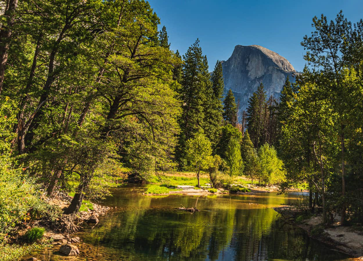 Half Dome View - Yosemite National Park