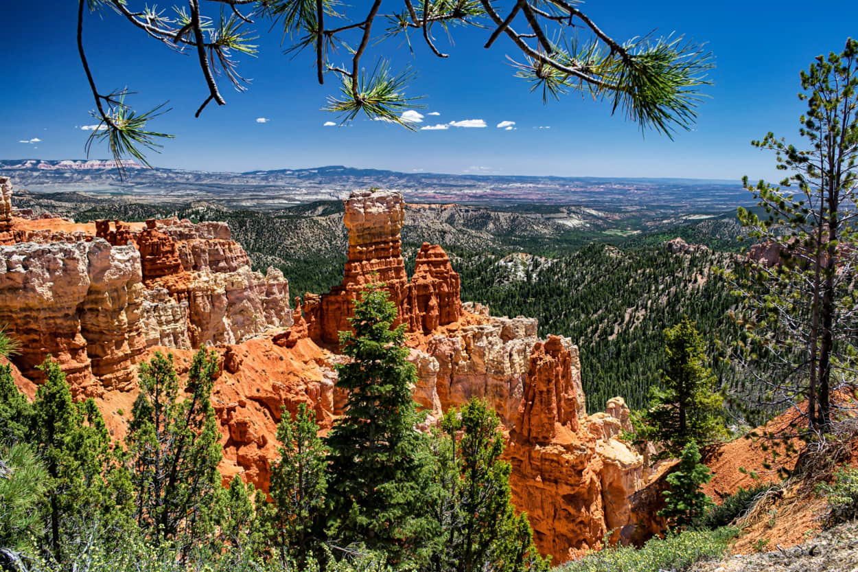 Bryce Canyon National Park consists of brightly colored red-orange stone spires.