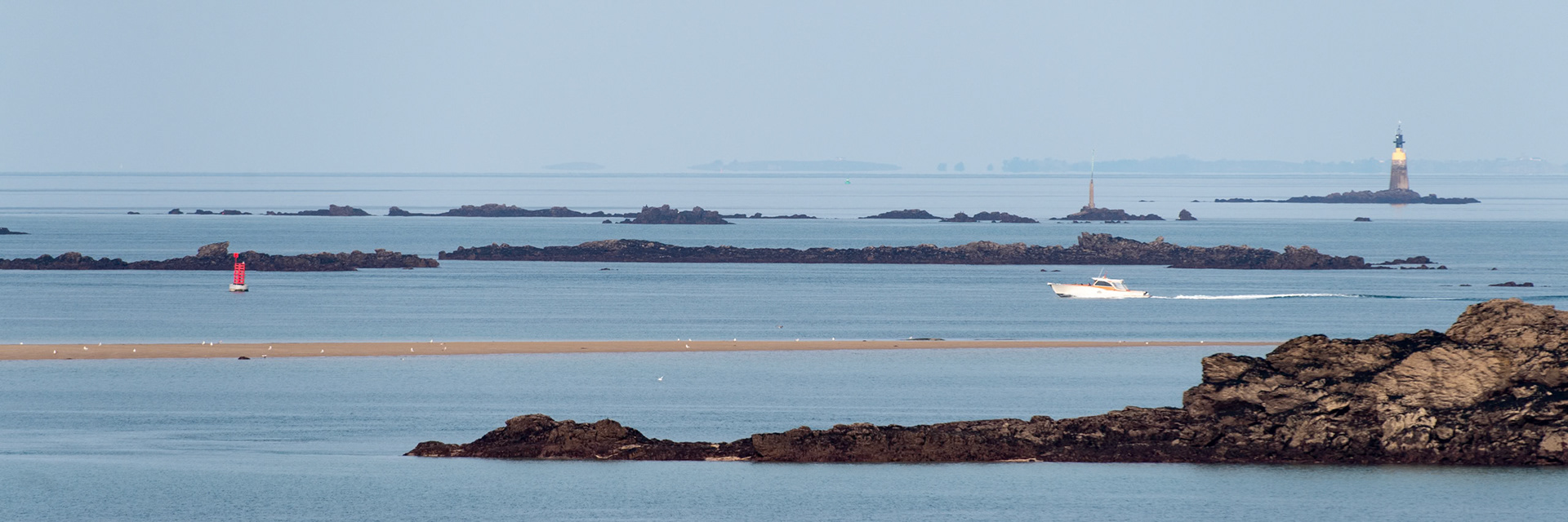 Le fou de Bassan dans les cailloux