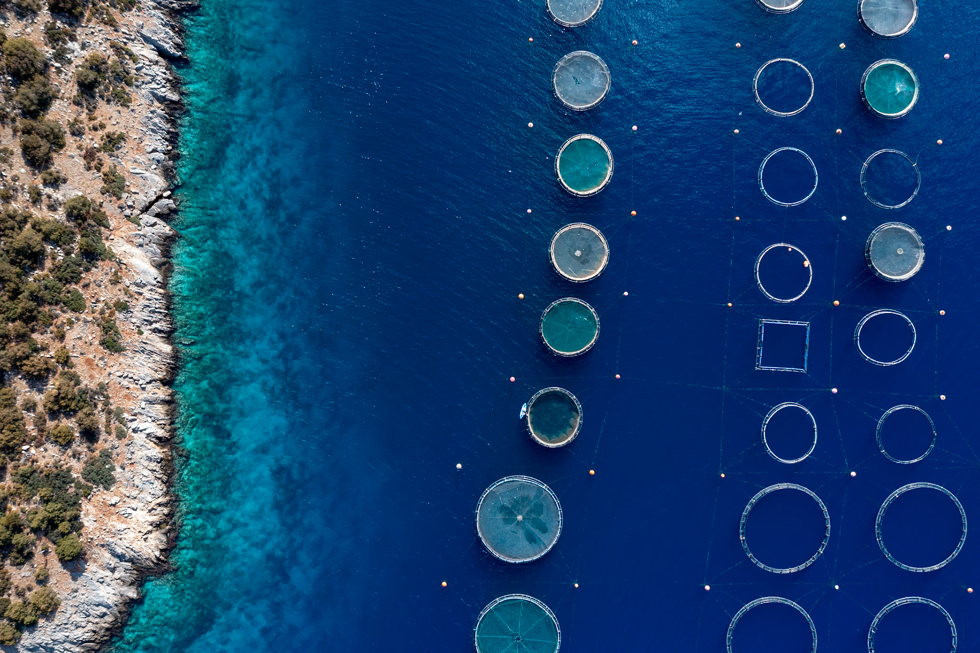 Fermes à poissons grècques