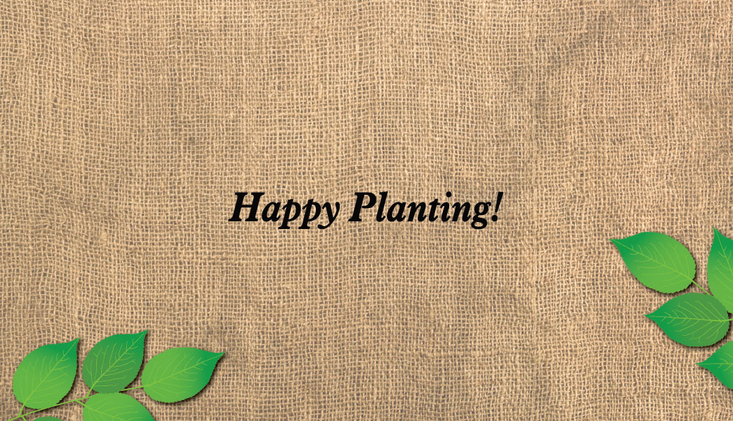 Business card back created in Ilustrator