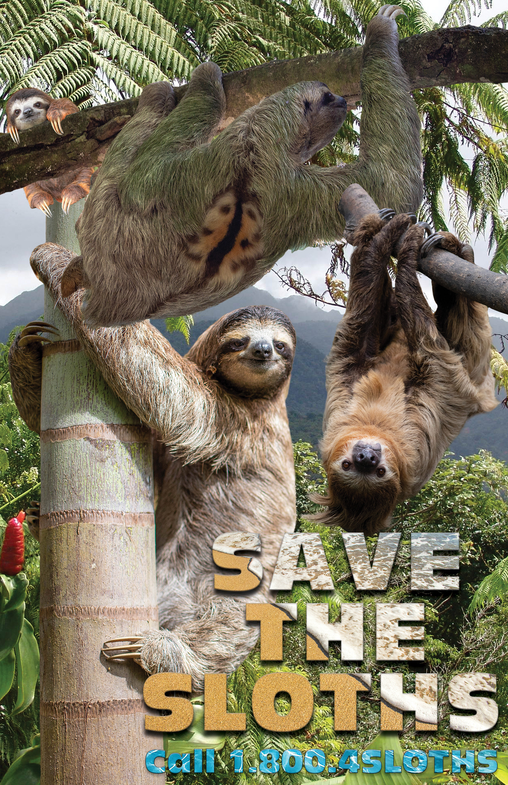 Poster created in Photoshop