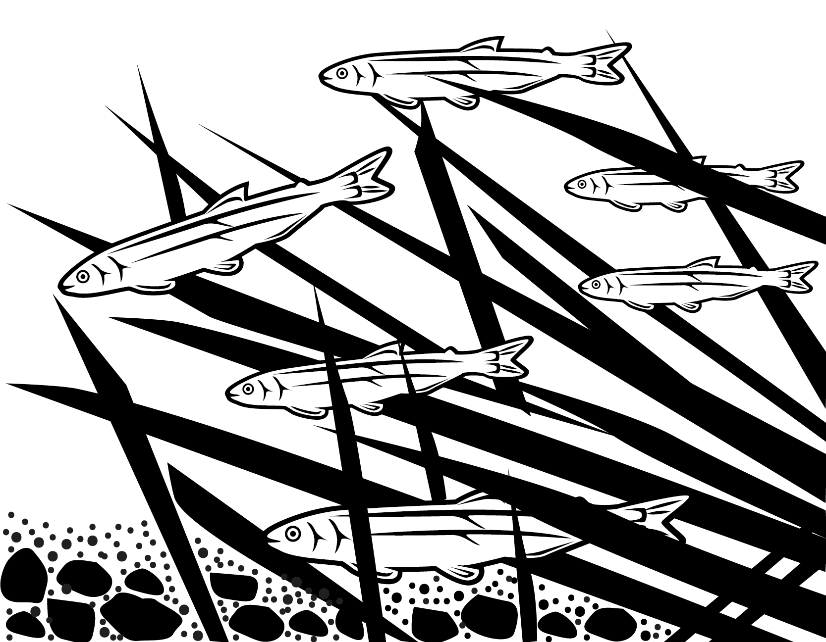 Custom Graphic for Gilwa Consulting