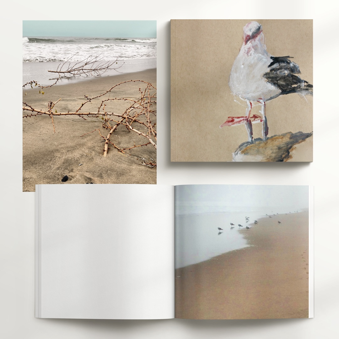 photo collage showing the inspirations Seagulls' red beaks, ocean waves, misty fog — an essence of a day in seaside San Francisco