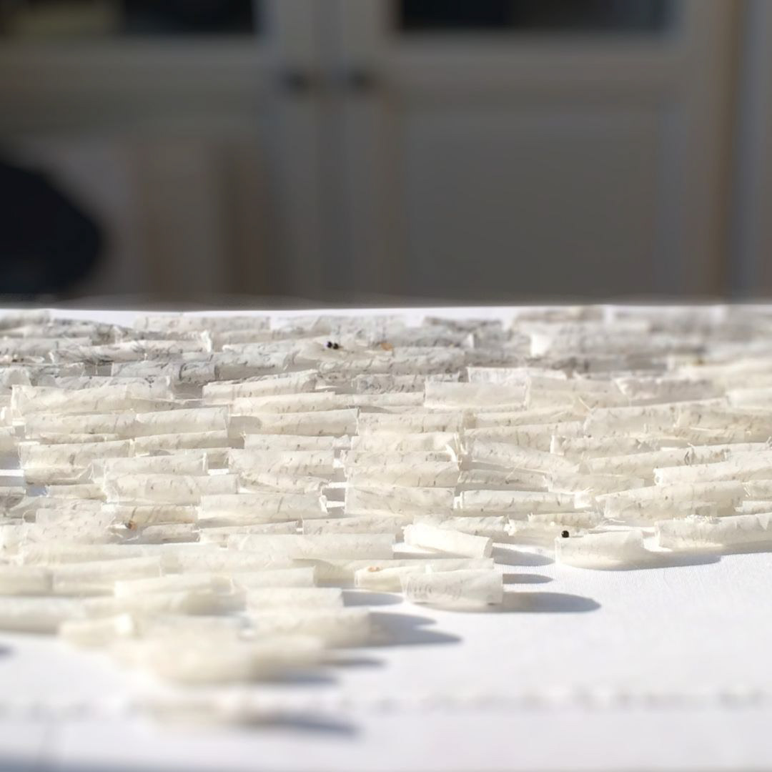 work in progress image artist studio showing 50 plus fabric scrolls on a sunlit table