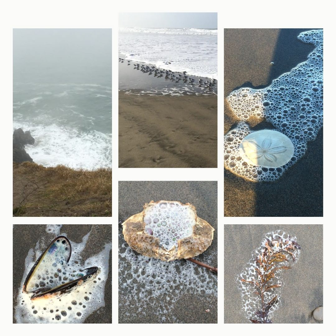 A collage depicting sources of inspiration photos of ocean beach in San Francisco, seafoam formations on kelps and crab shells.