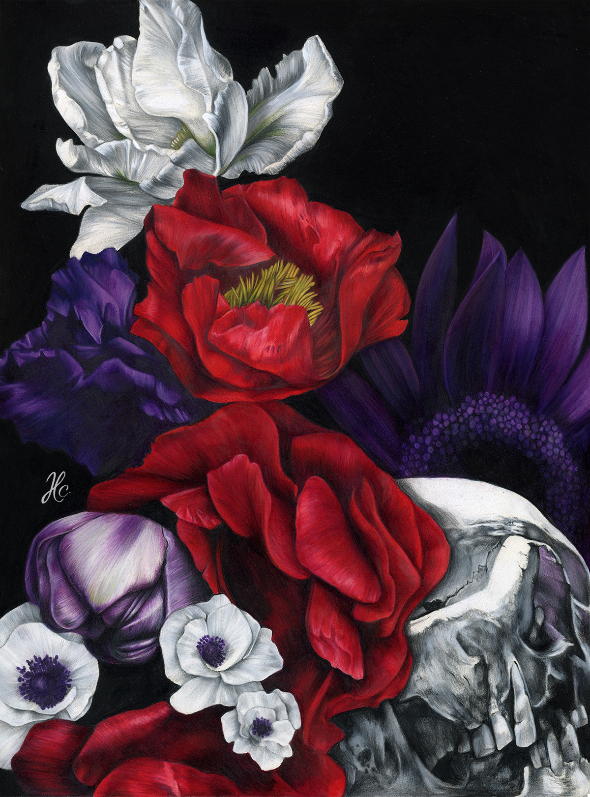 STILL LIFE ? - Colored Pencil on Lighfast Paper - 30cm x 40cm - 2021