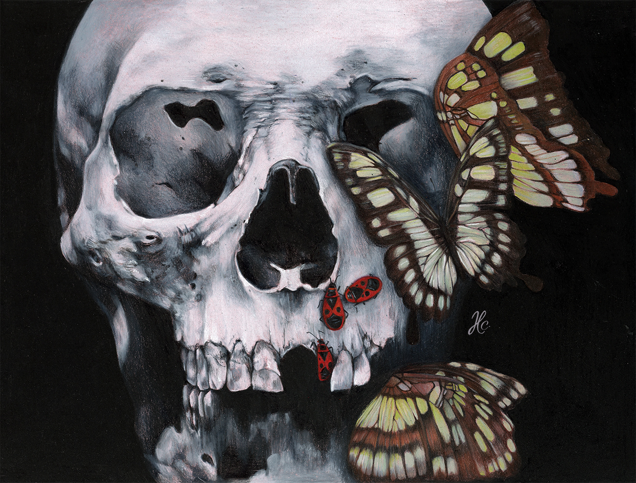 MALACHITE - Colored Pencil on Paper - 30cm x 23cm - 2021