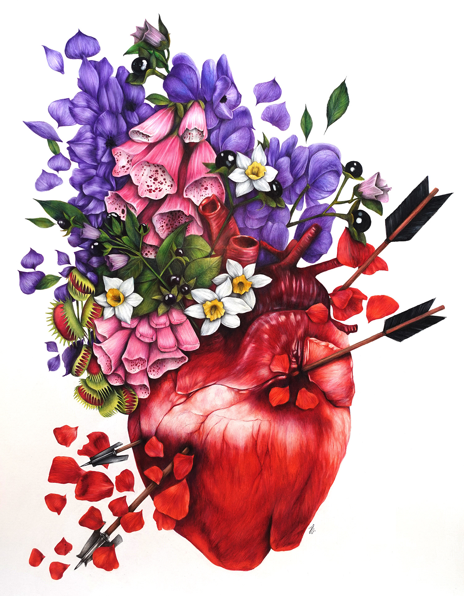 Saint Sébastien Colored Pencils On Paper 56x72 cm