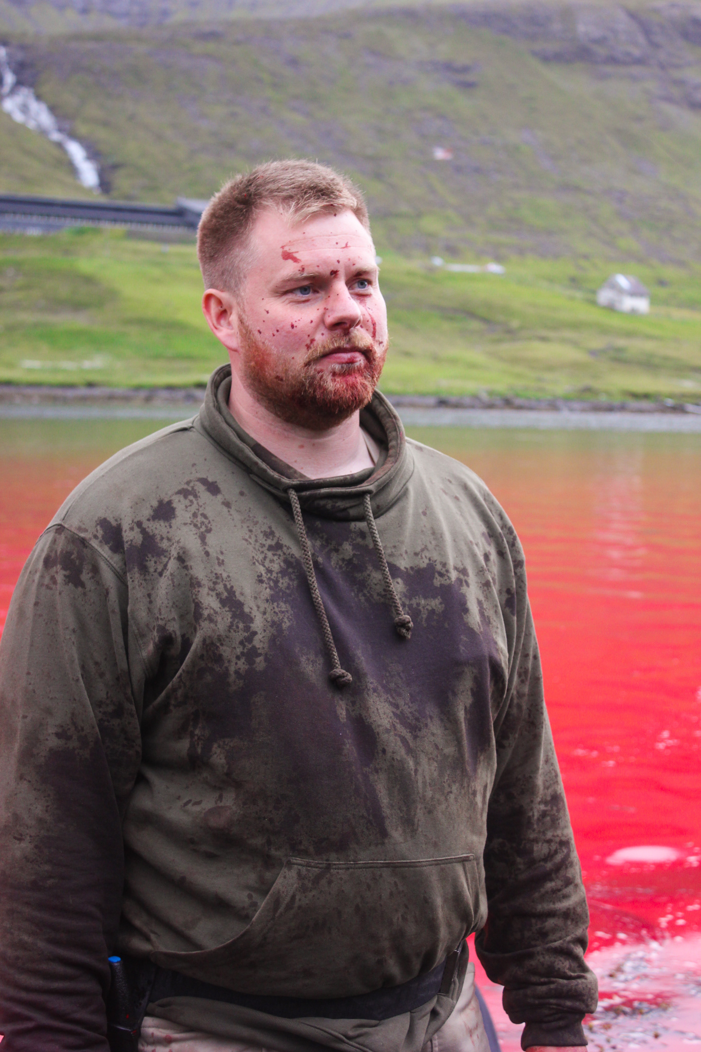 PILOT WHALE KILLINGS, FAROE ISLANDS