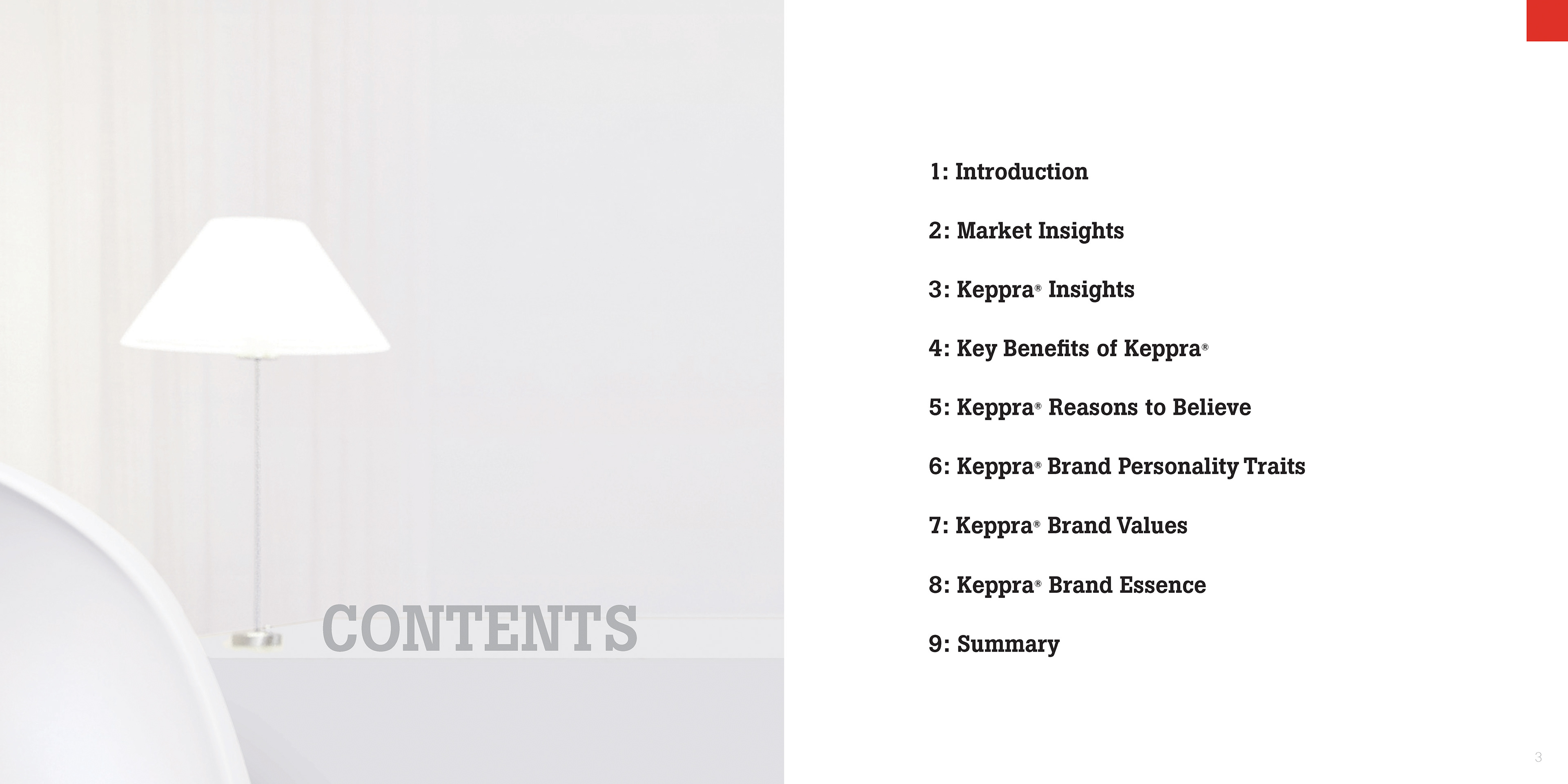 GLOBAL BRAND MANUAL for KEPPRA / UCB