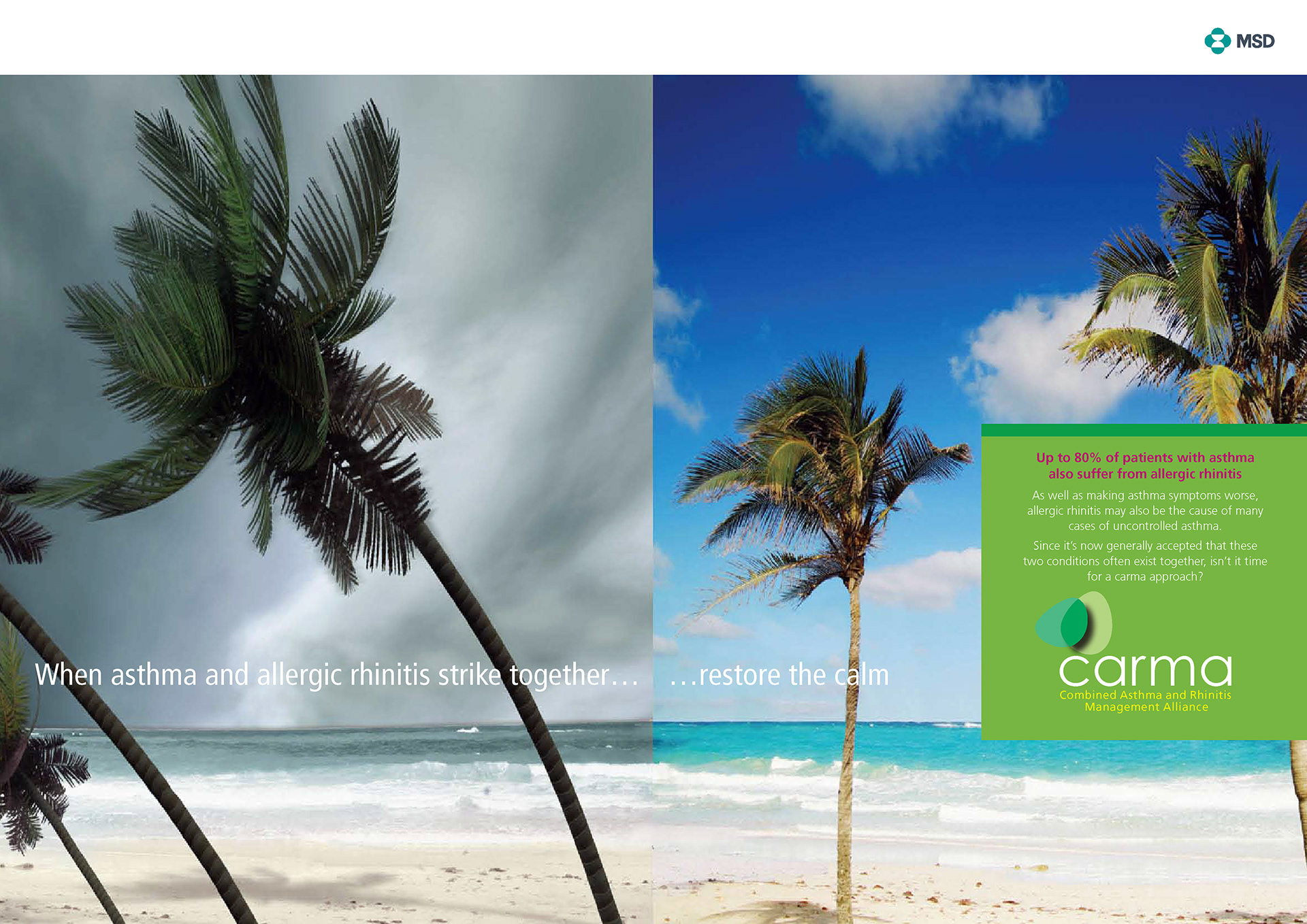 CREATIVE DIRECTION for SINGULAIR / MERCK SHARP & DOHME
