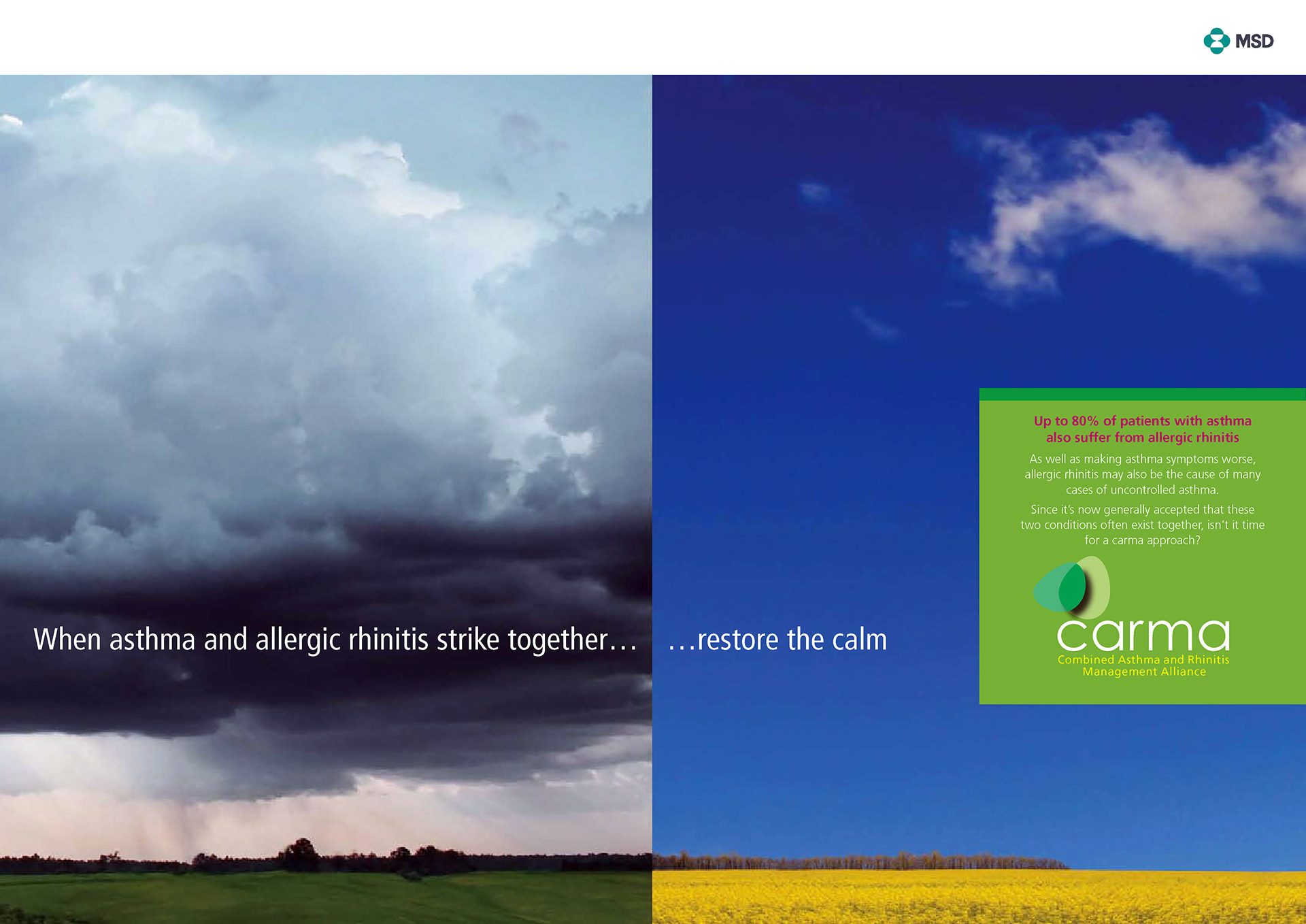 CREATIVE DIRECTION for SINGULAIR / MERCK SHARP & DOHME
