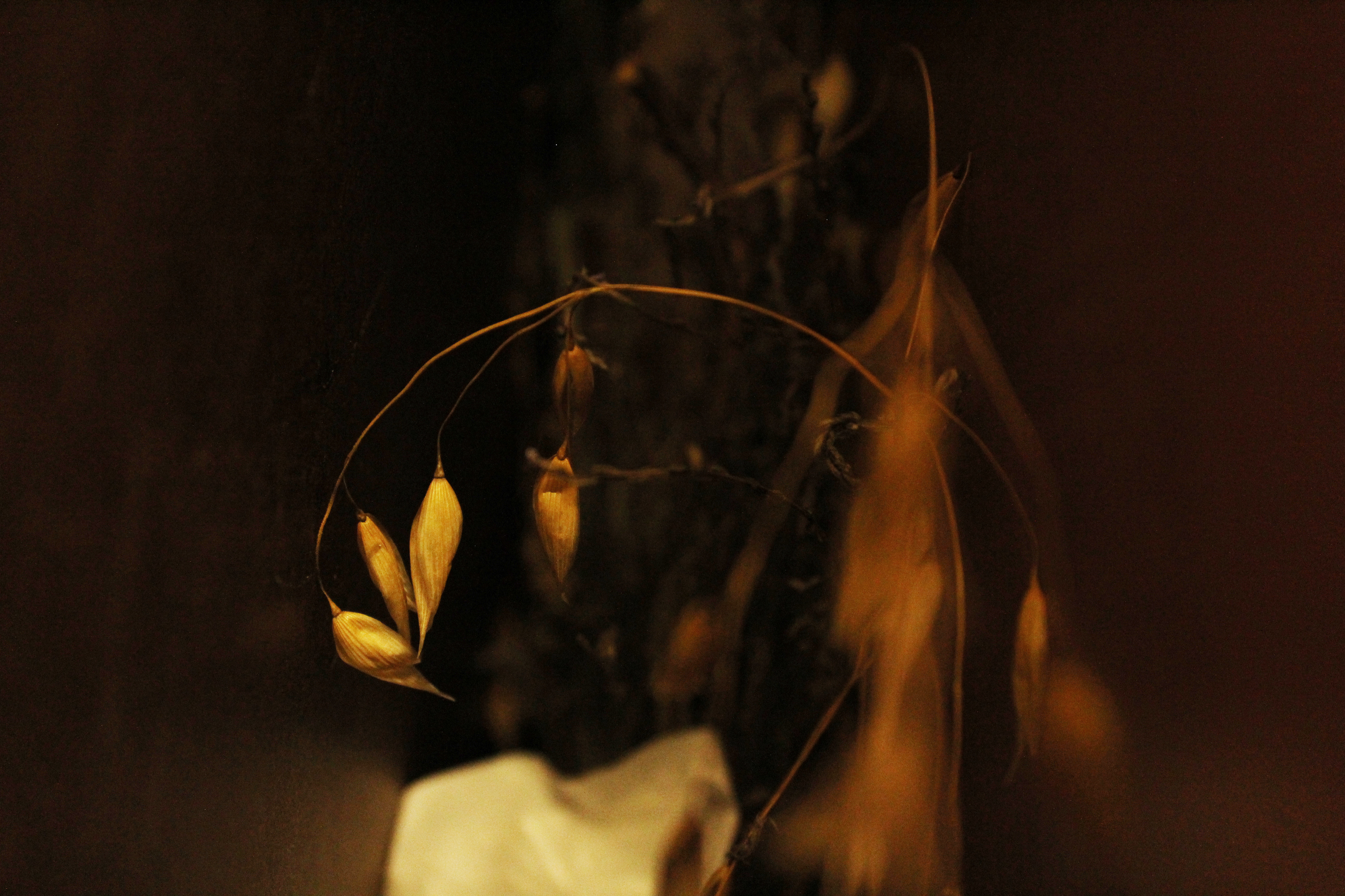 Photo "Hide and Seek"