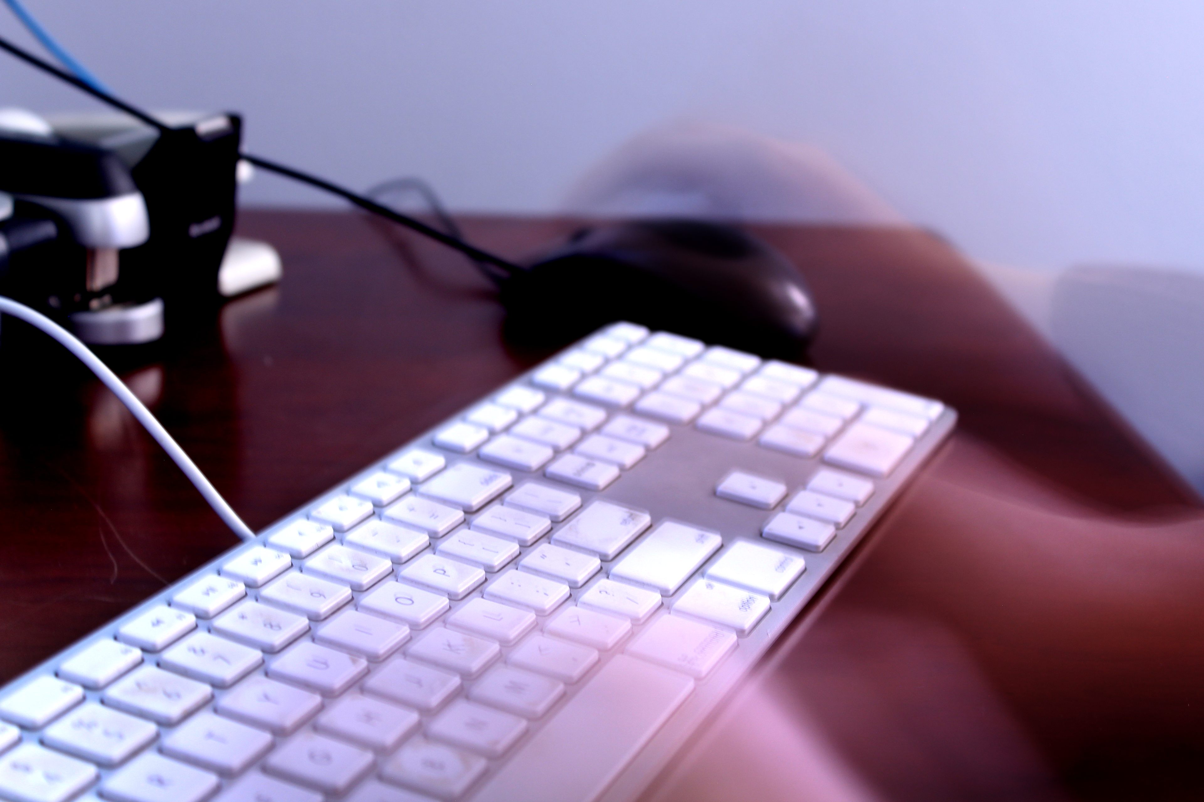 Photo "Busy"