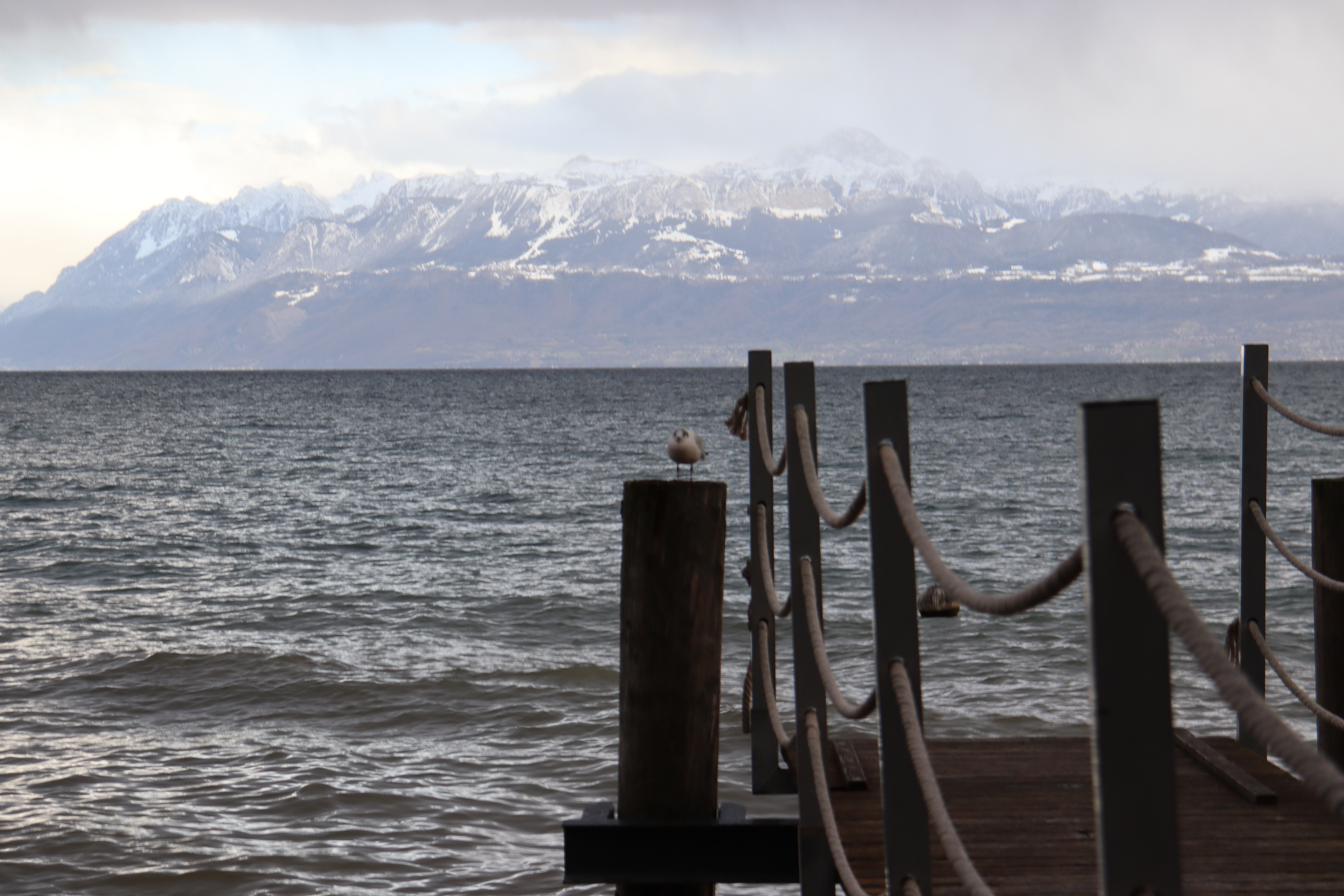Morges