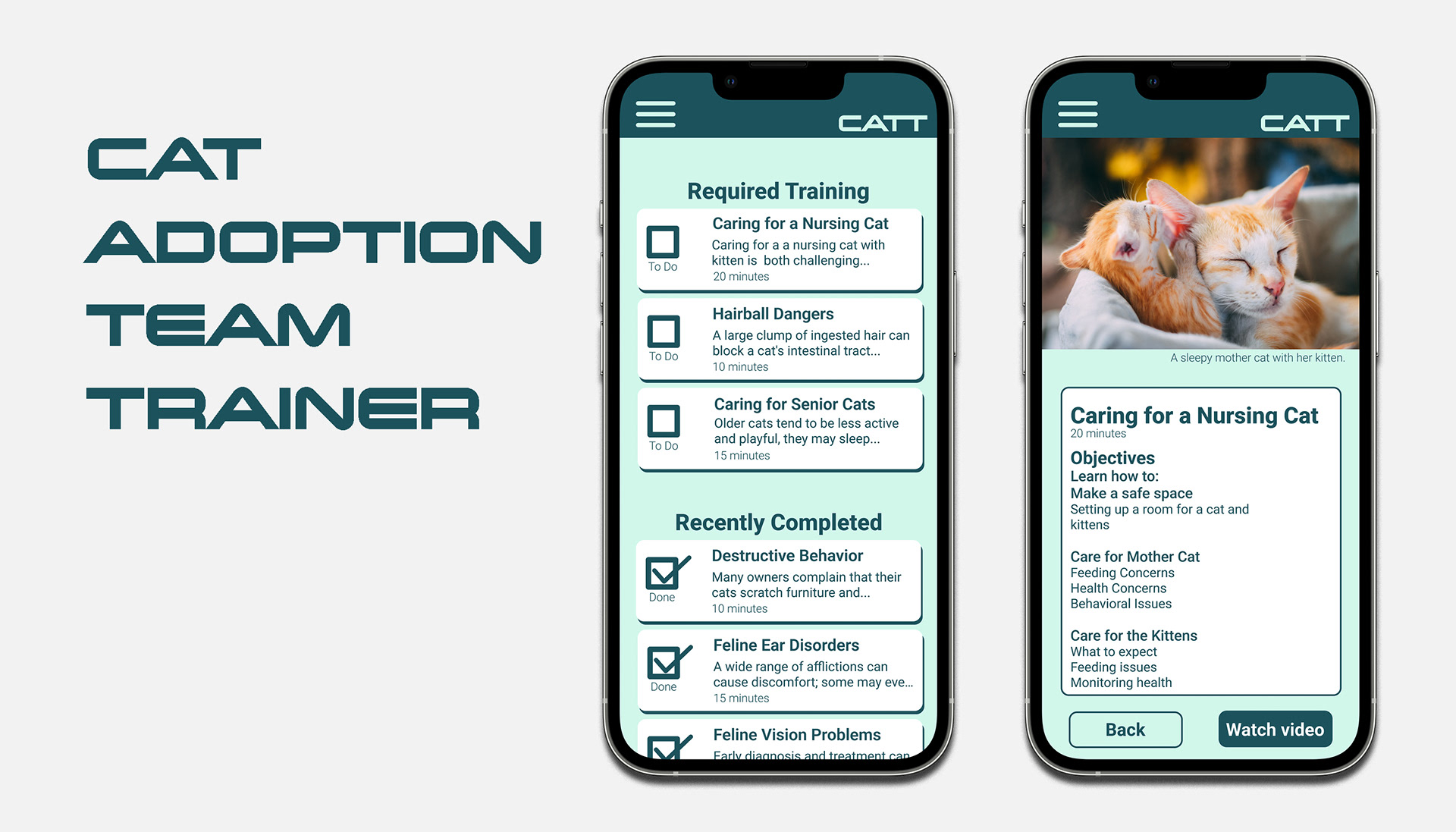 Introduction image showing app screen from the Cat Adoption Team Trainer app
