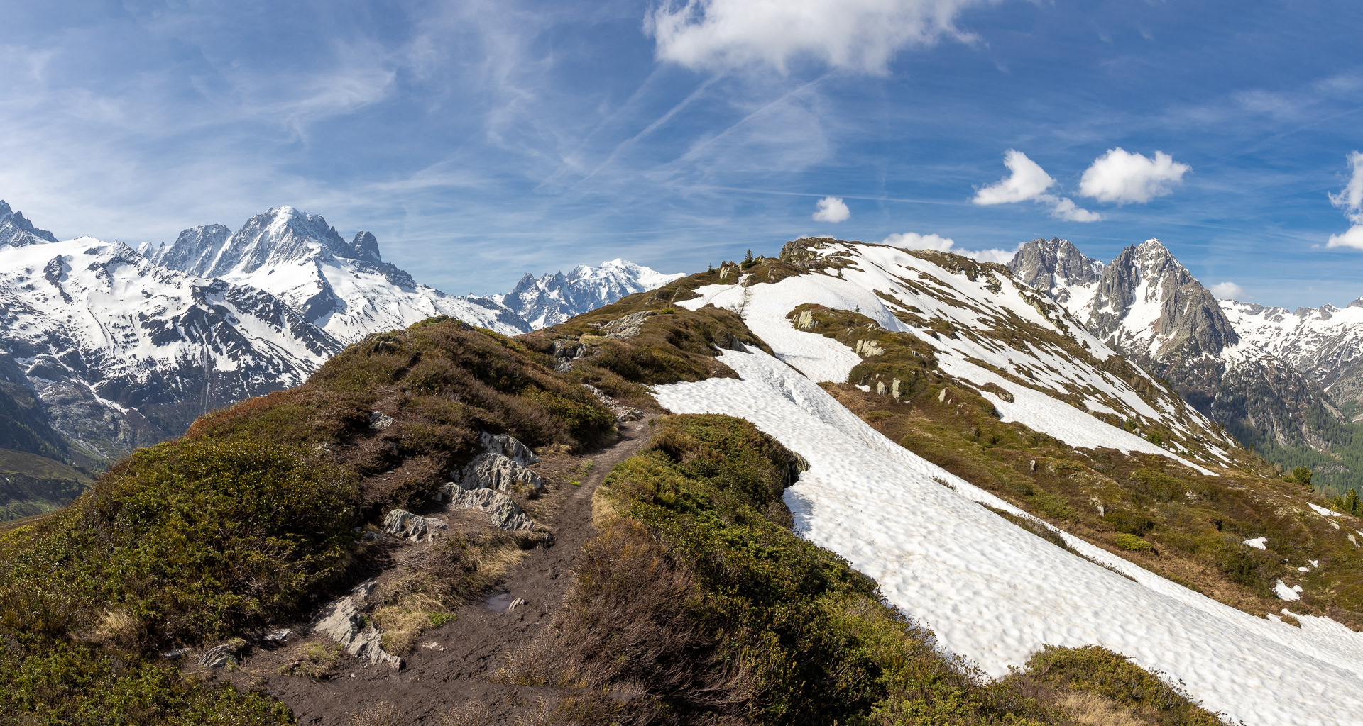 Les aiguilles rouges au printemps