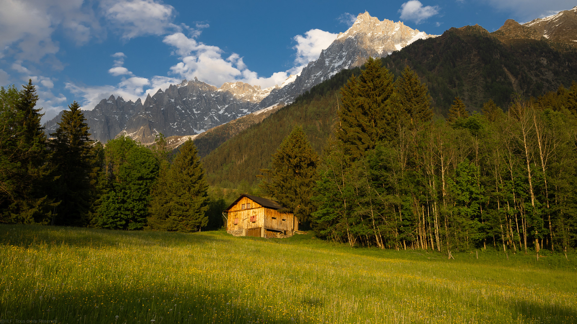 Chalet en bois