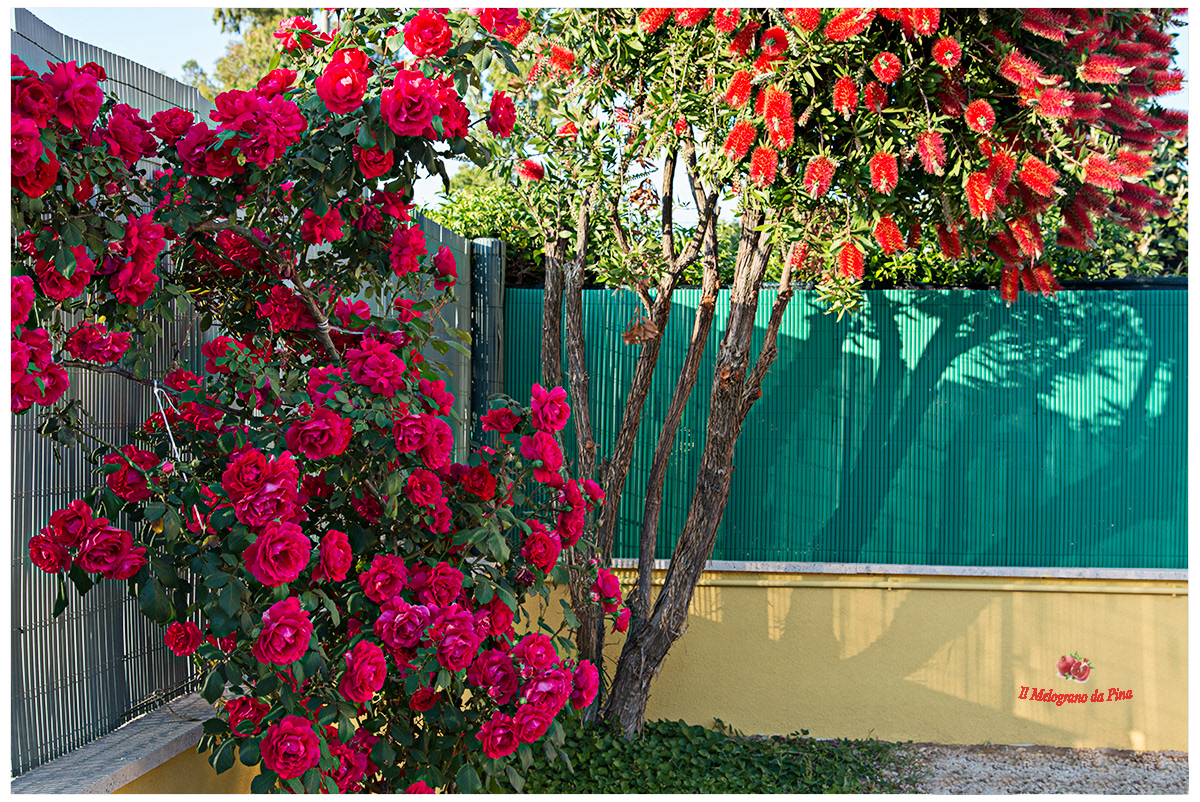 Giardino del Melograno