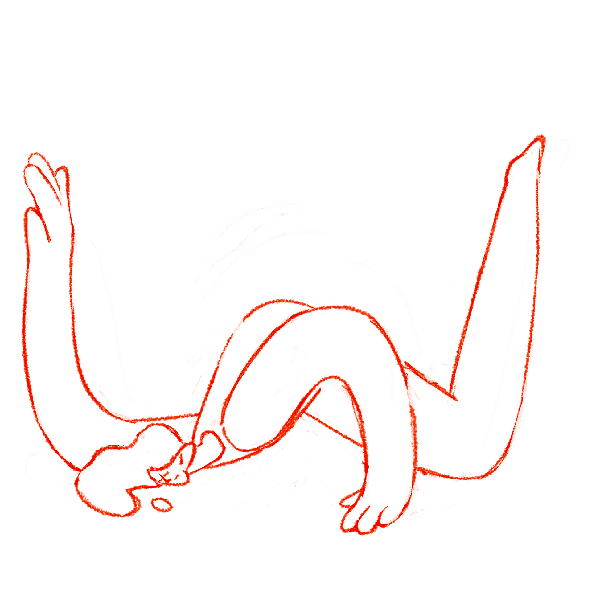 2nd sketch had more potential