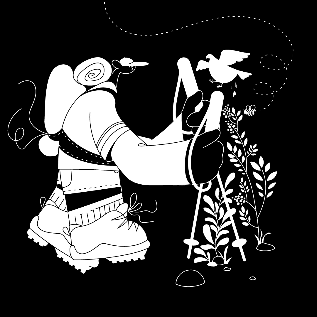 Vector