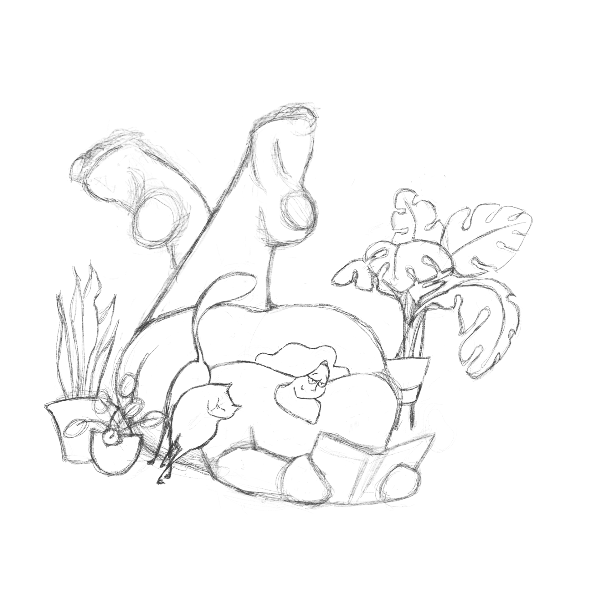 Rough sketch