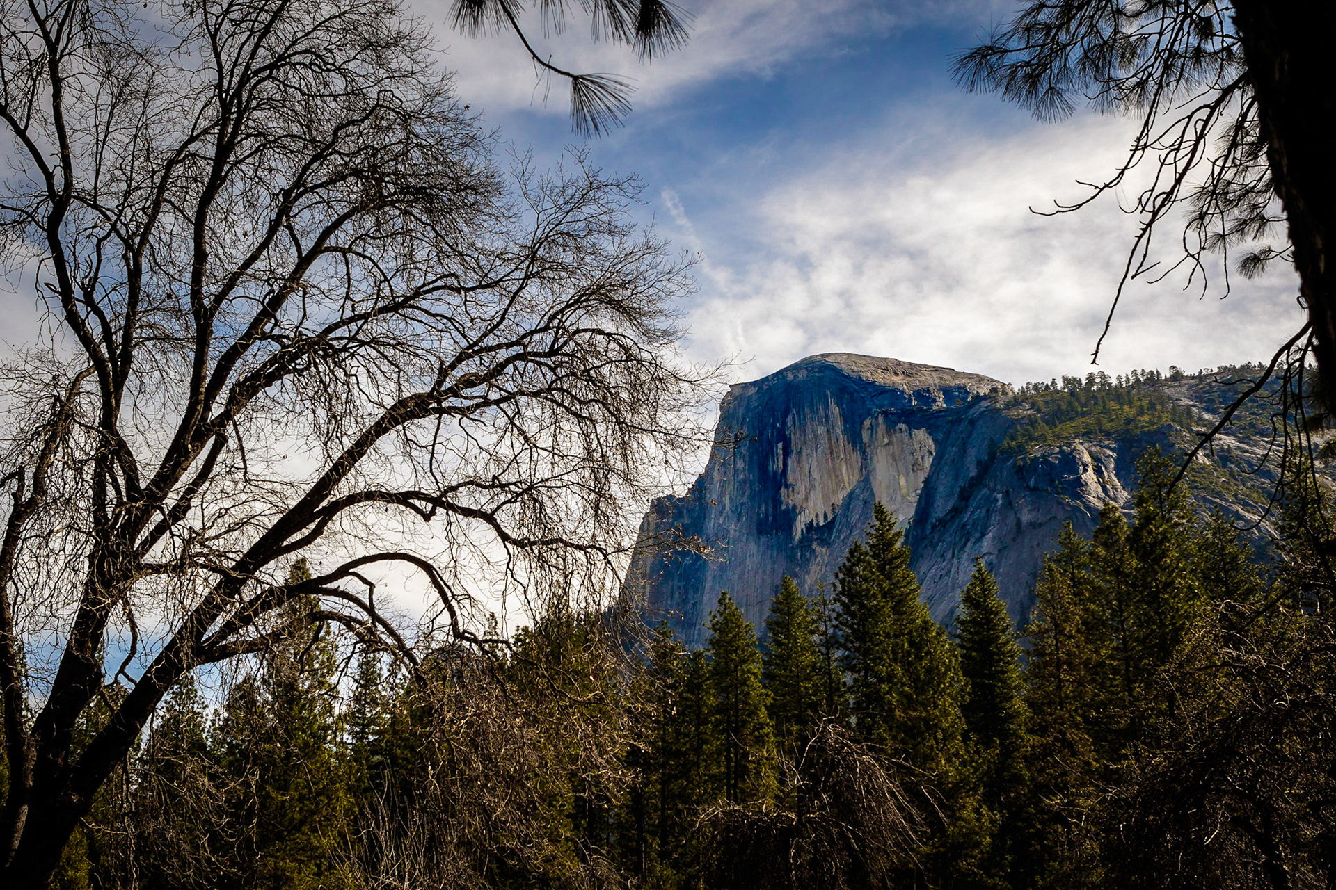 A shot of Half Dome in Yosemite