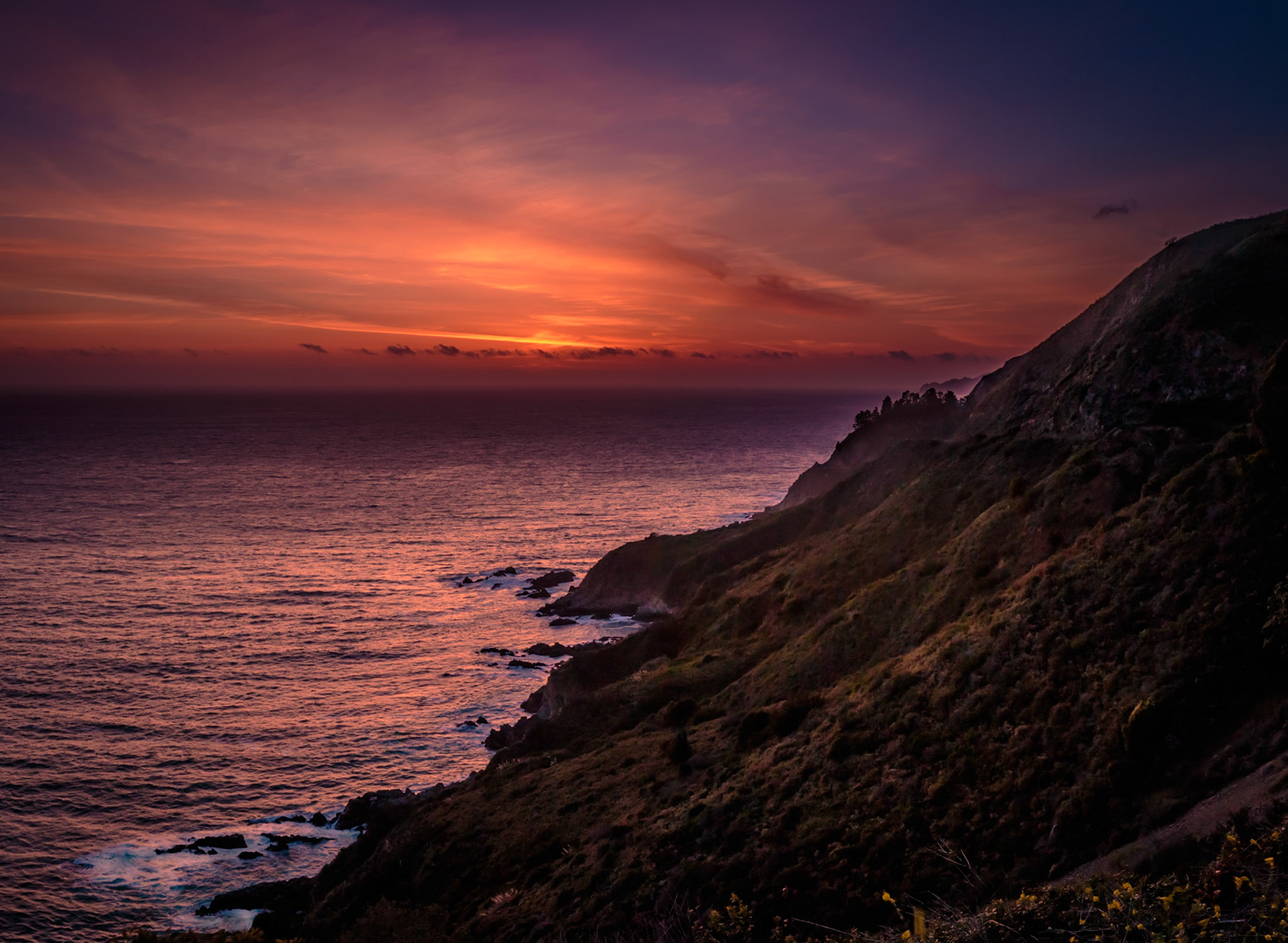 Taken in April in Big Sur
