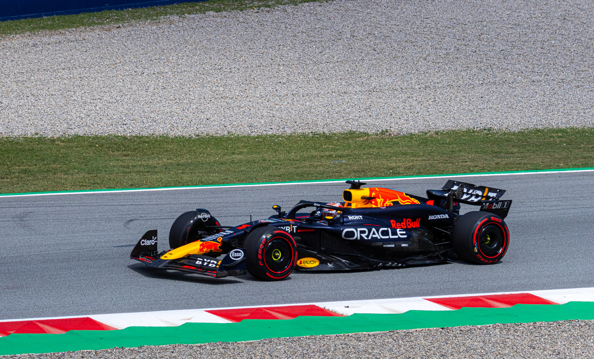 Max Verstappen (Red Bull F1)