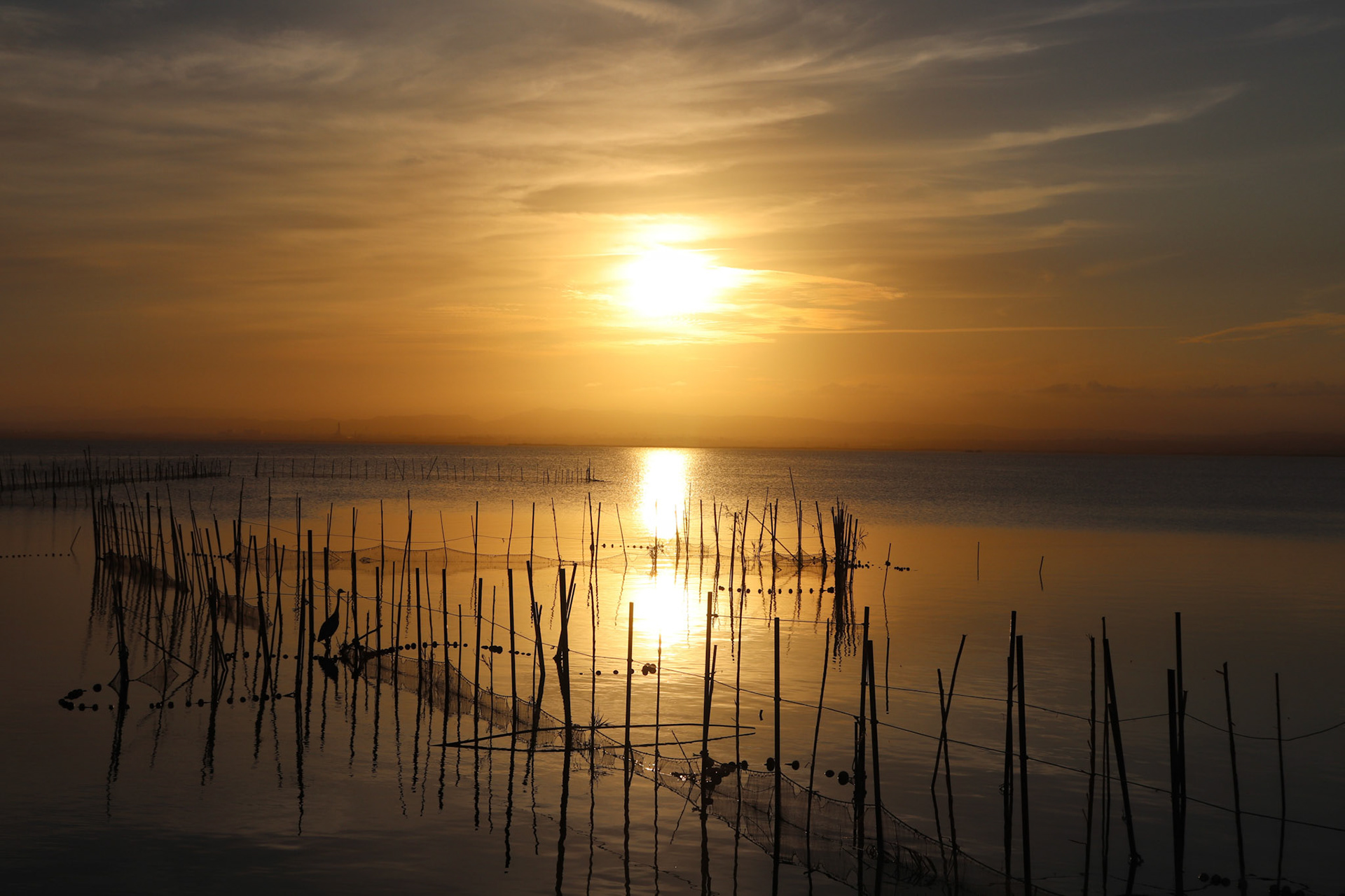 Albufera, Valencia, Spain