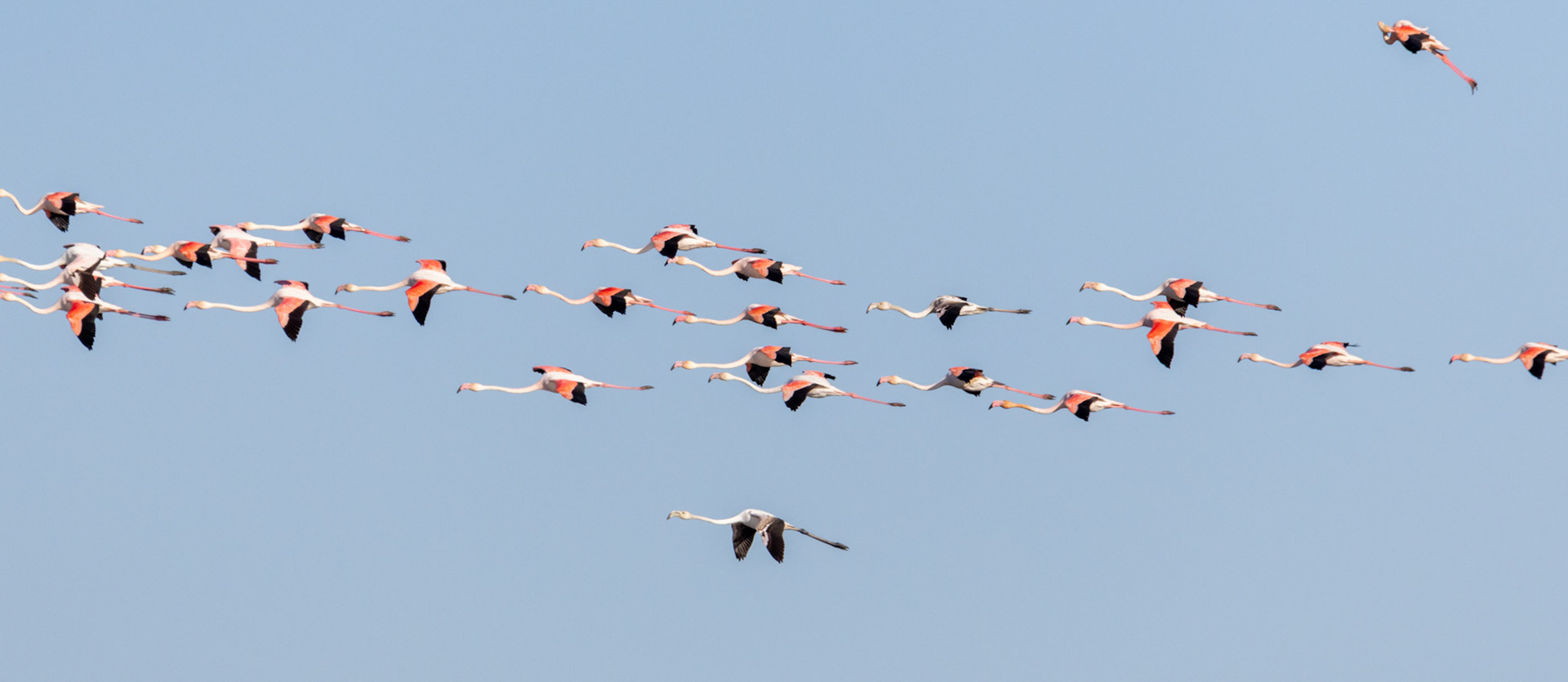 Albufera, Valencia, Spain
