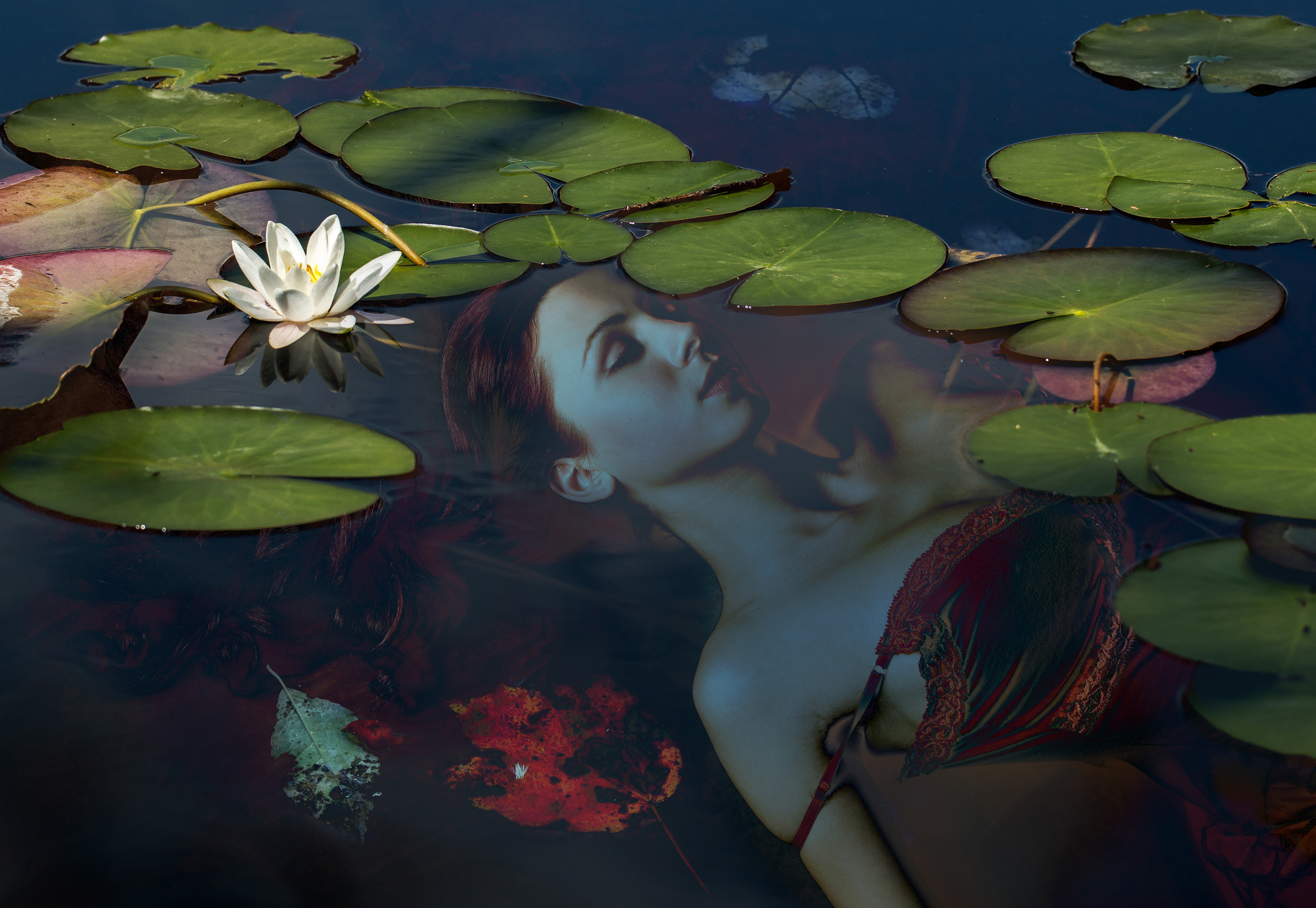 Photoshop Composite of Multiple Photos