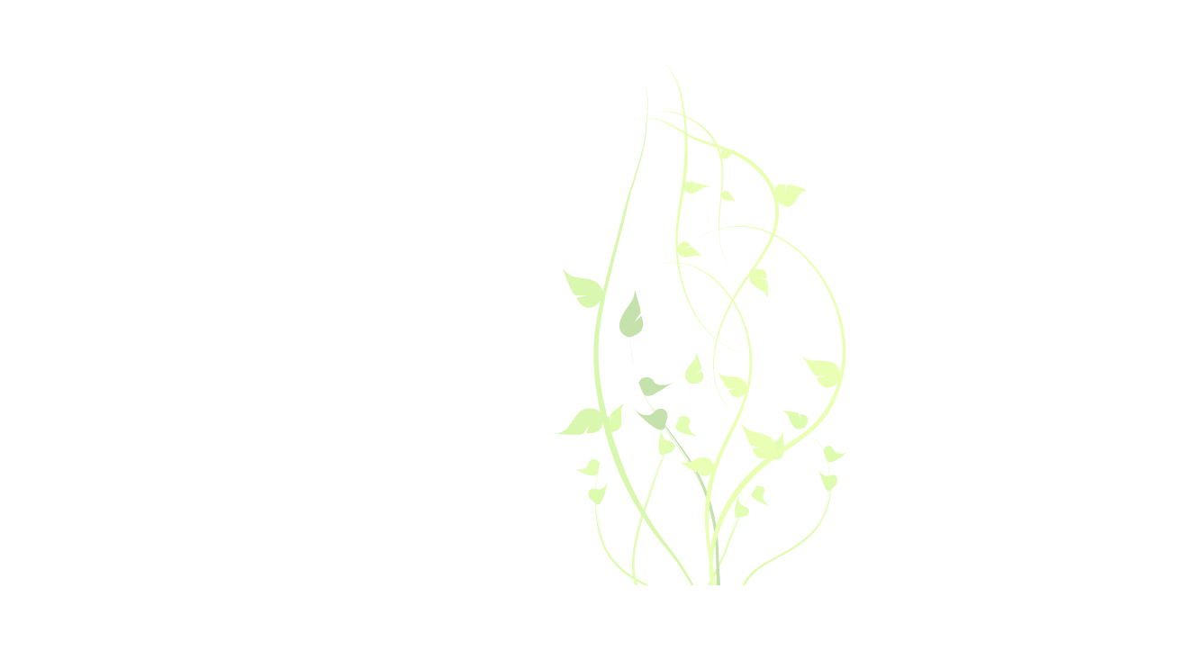 Animate Landing Page