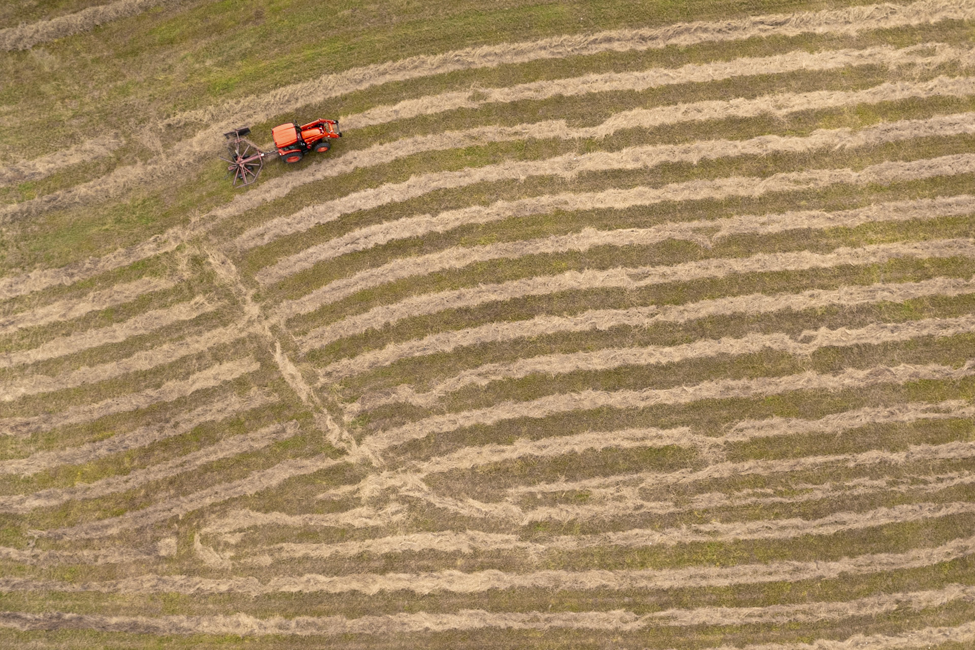 Making hay while the sun shines