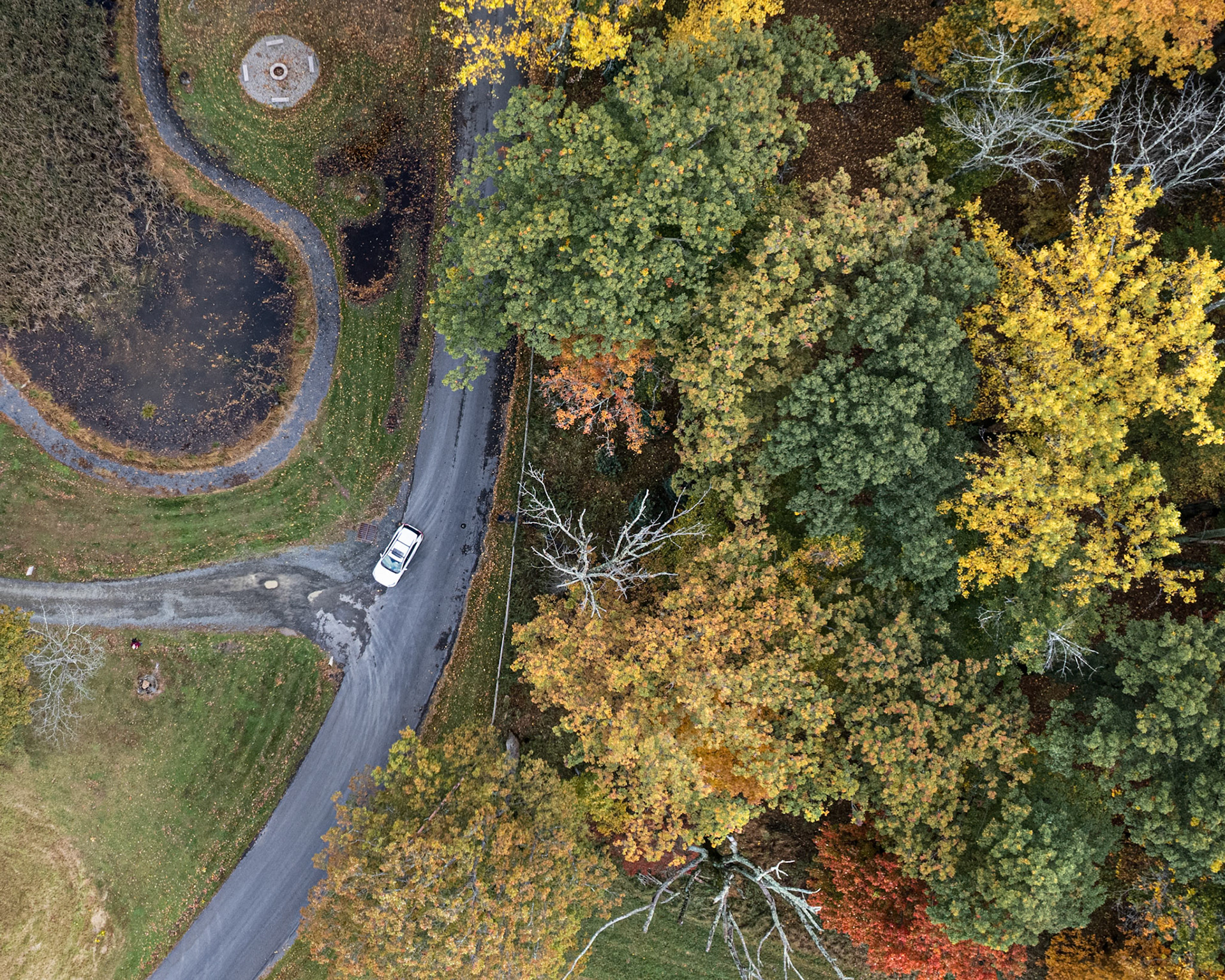 Two roads diverged