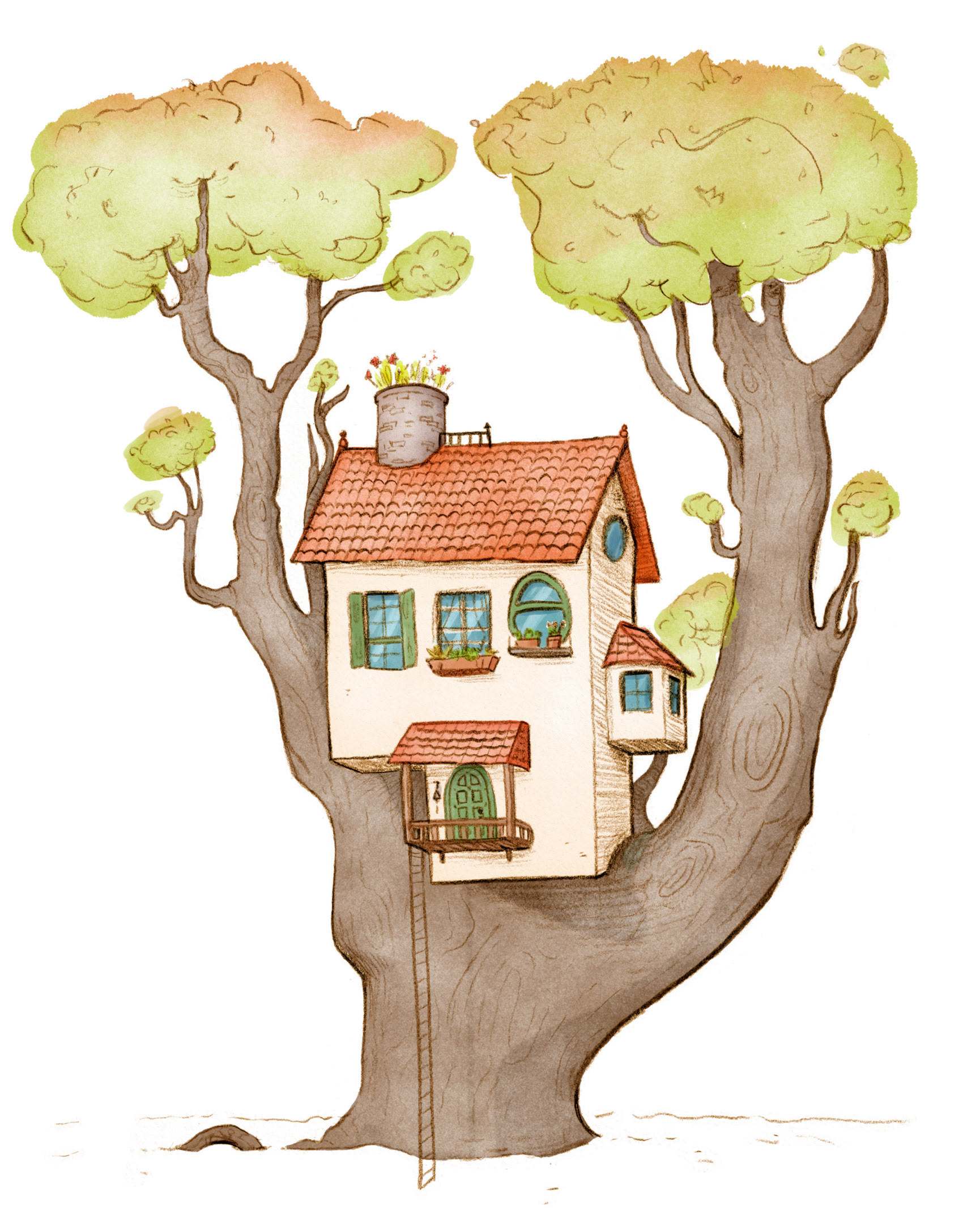 Ollie's Home Ext. / Personal Work