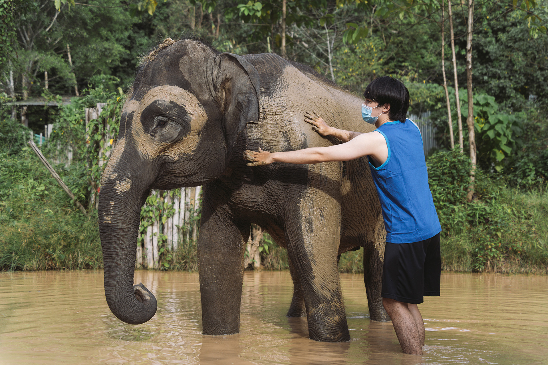 Tourists bathe elephants at Elephant Wildlife Sanctuary Phuket.