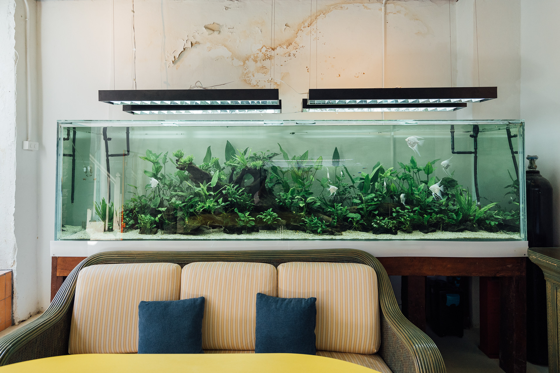 Interior Ambiance at Mai Nam Shophouse Phuket