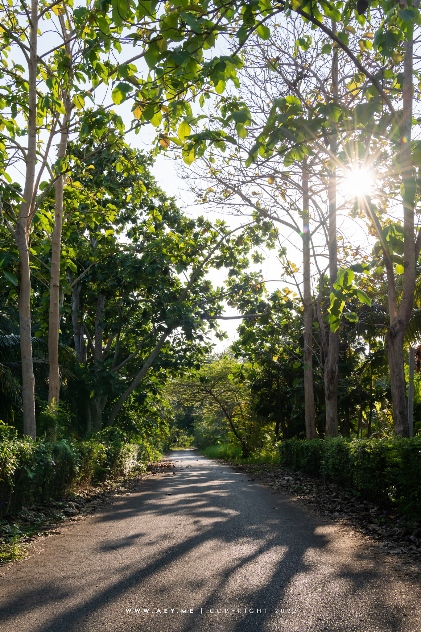 Somdul Agroforestry Home