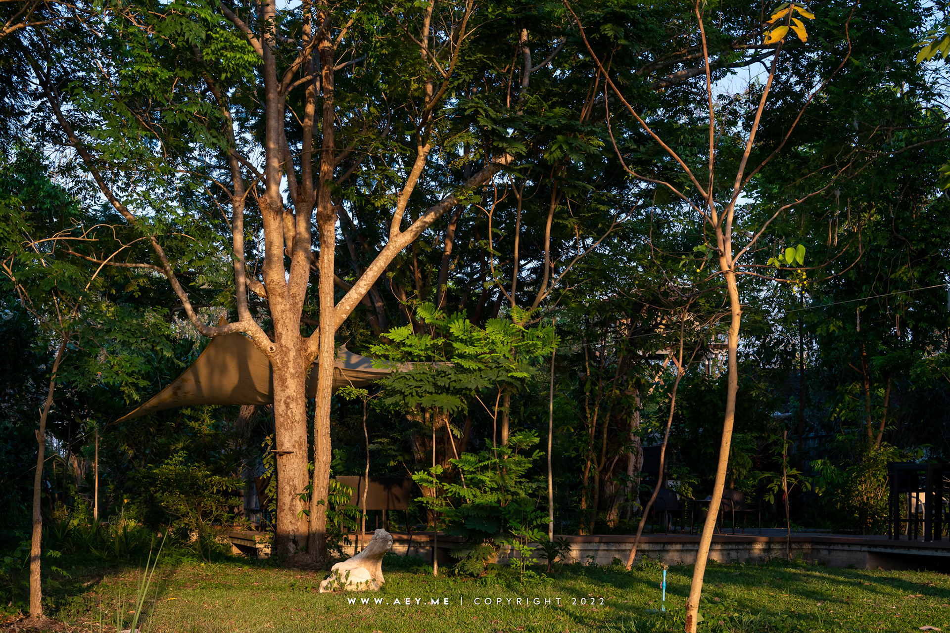 Somdul Agroforestry Home