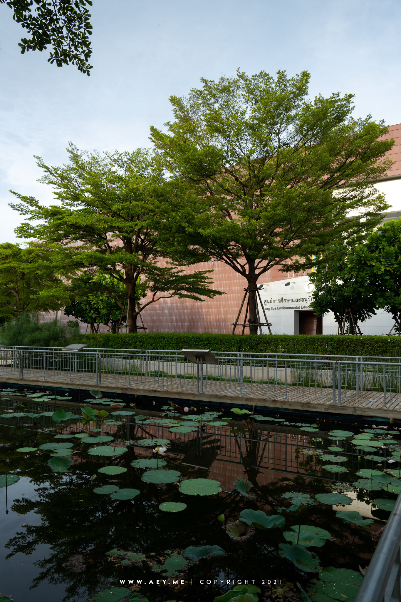 Bang Sue Environmental Education and Conservation Center ศูนย์การศึกษาและอนุรักษ์สิ่งแวดล้อมบางซื่อ
