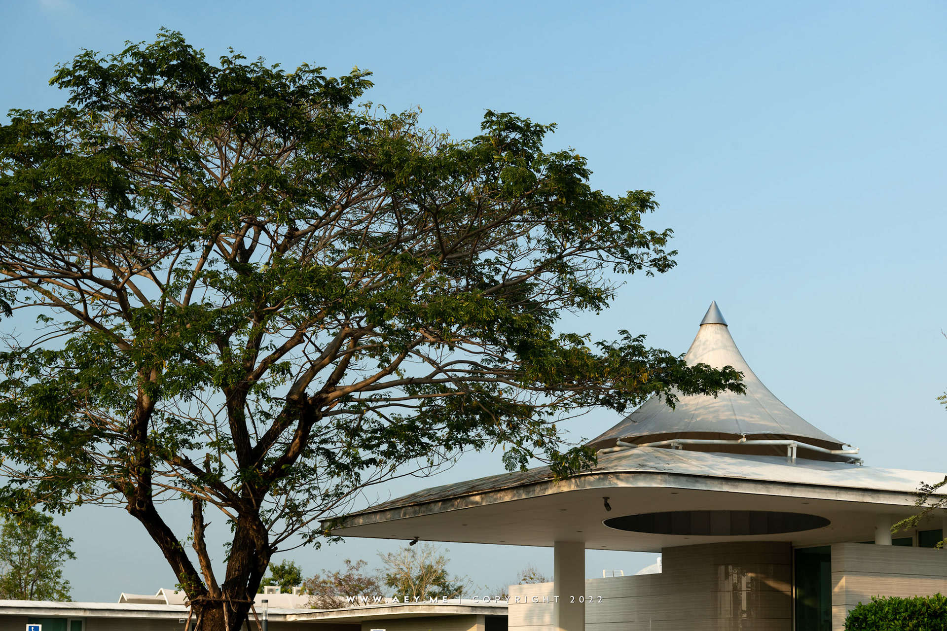 Pink Park Village บ้านพิงพัก